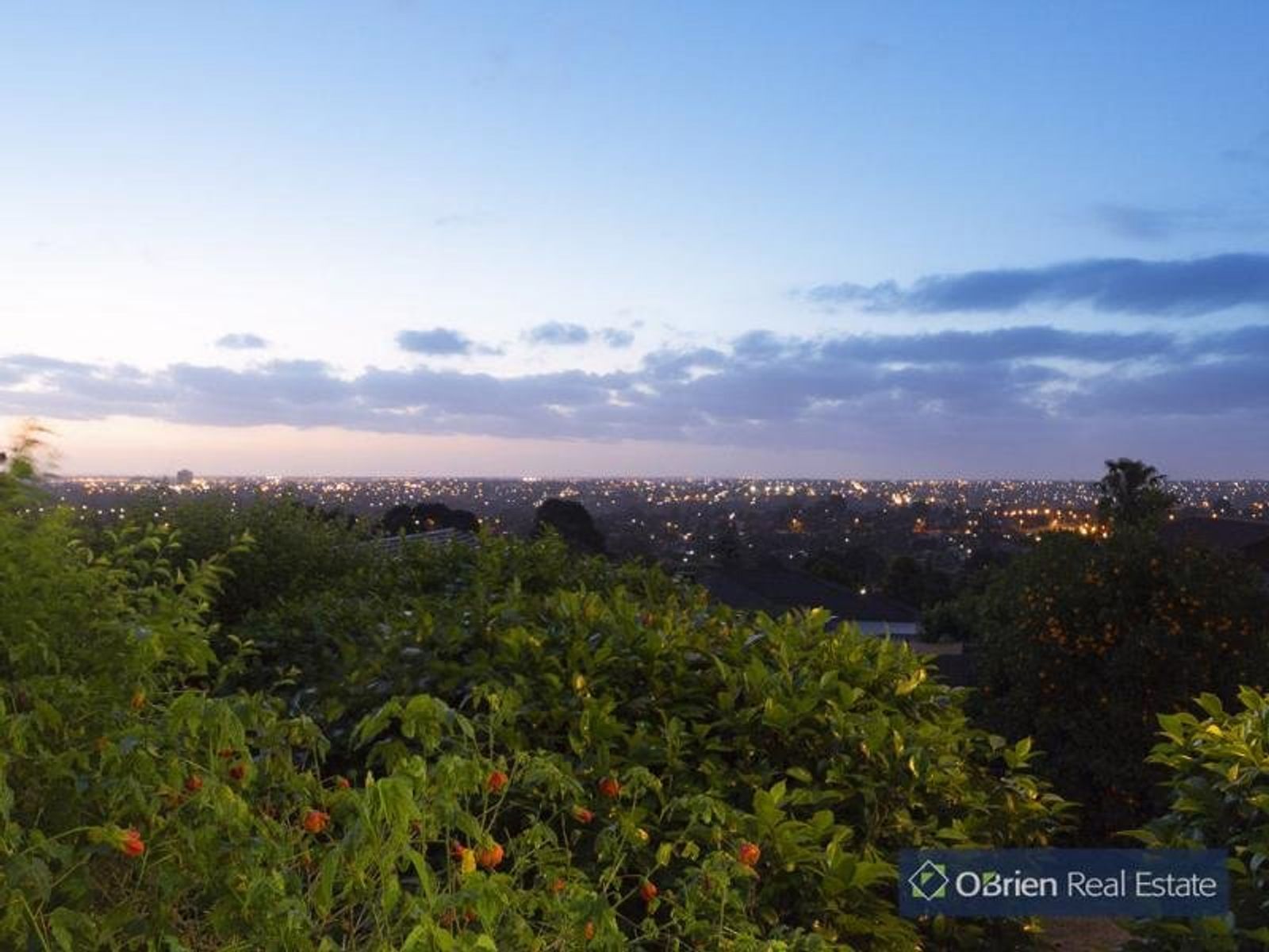 29 Monkhouse Drive, Endeavour Hills, VIC 3802, Endeavour Hills - Thumbnail 8