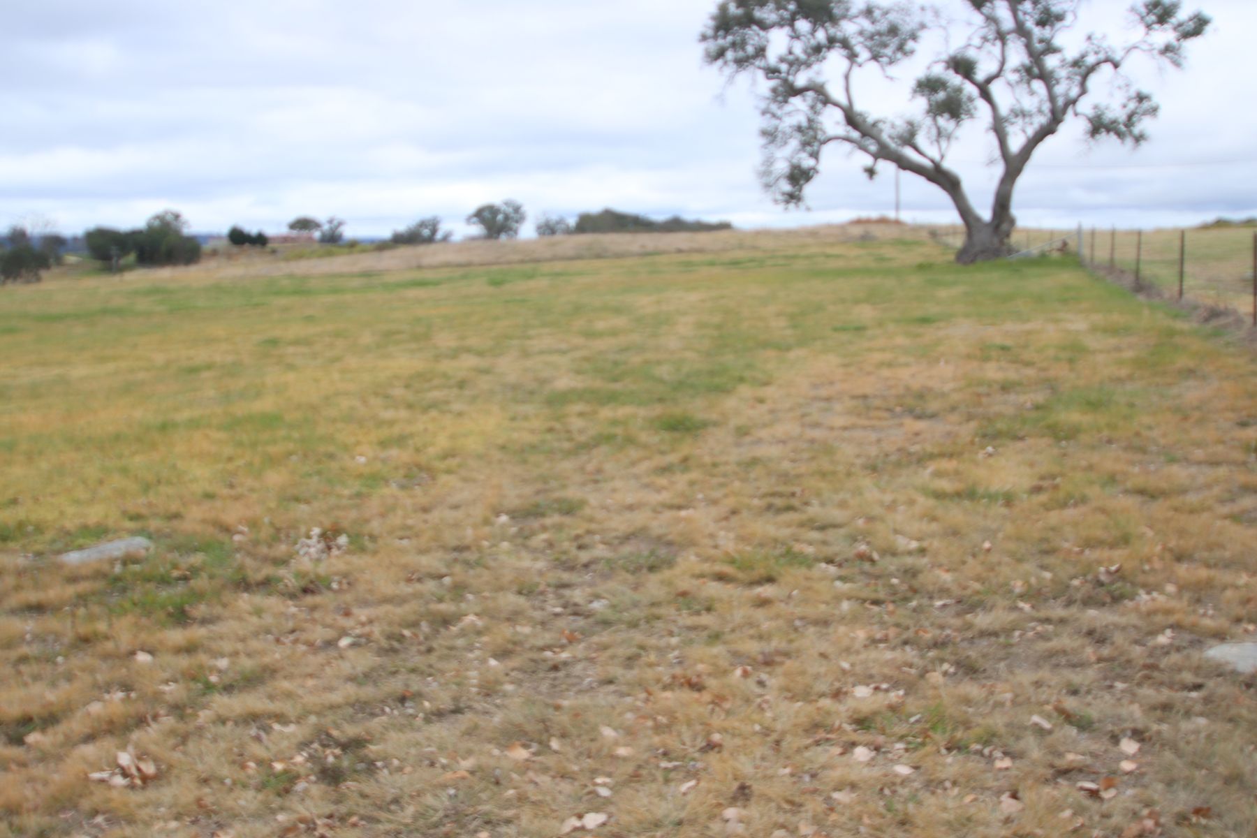 148B Sunnyside Loop Road, Tenterfield NSW 2372, Tenterfield - Thumbnail 4