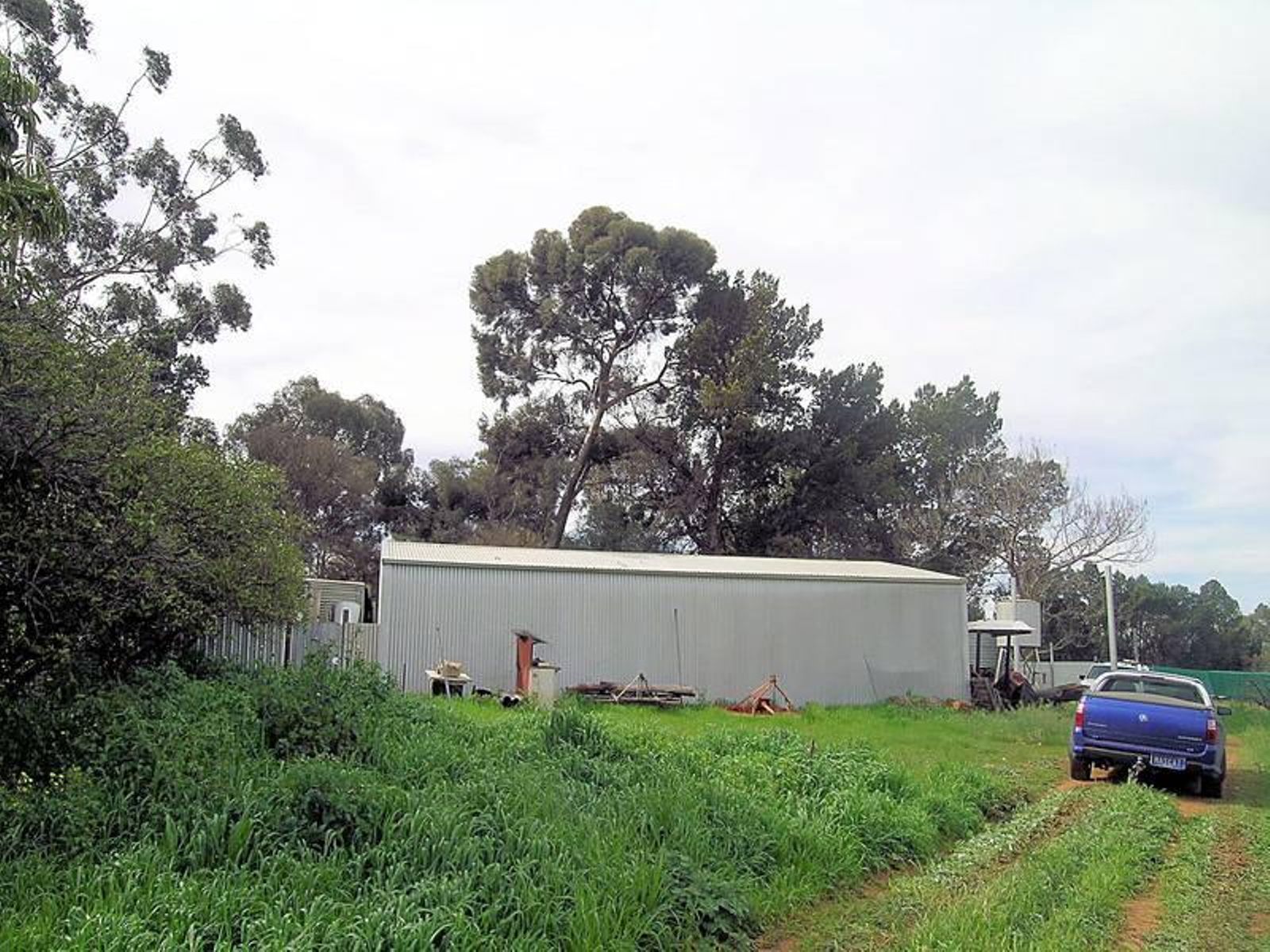 12 Gothorp Road, Irymple - Thumbnail 4