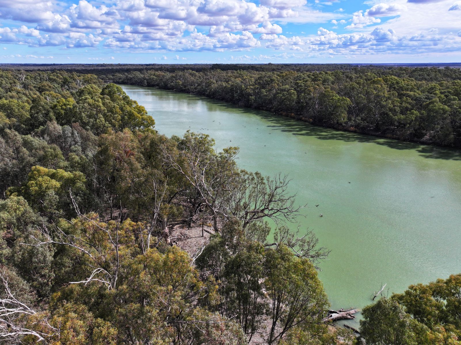 Lot 4 Via Renmark Road, Wentworth - Thumbnail 3