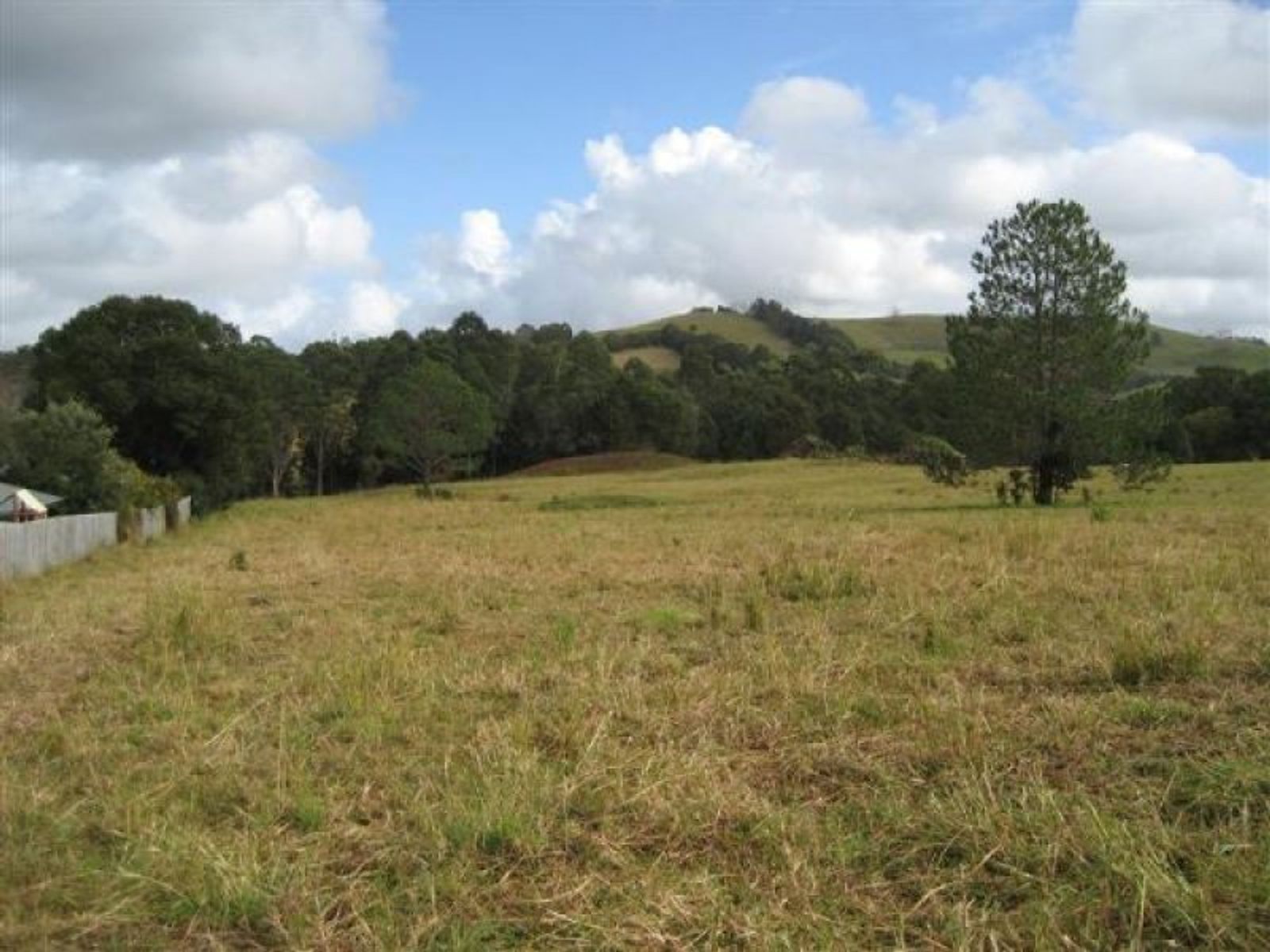 Lot 77 Lot 77 Palm Lily Crescent, Bangalow - Thumbnail 8