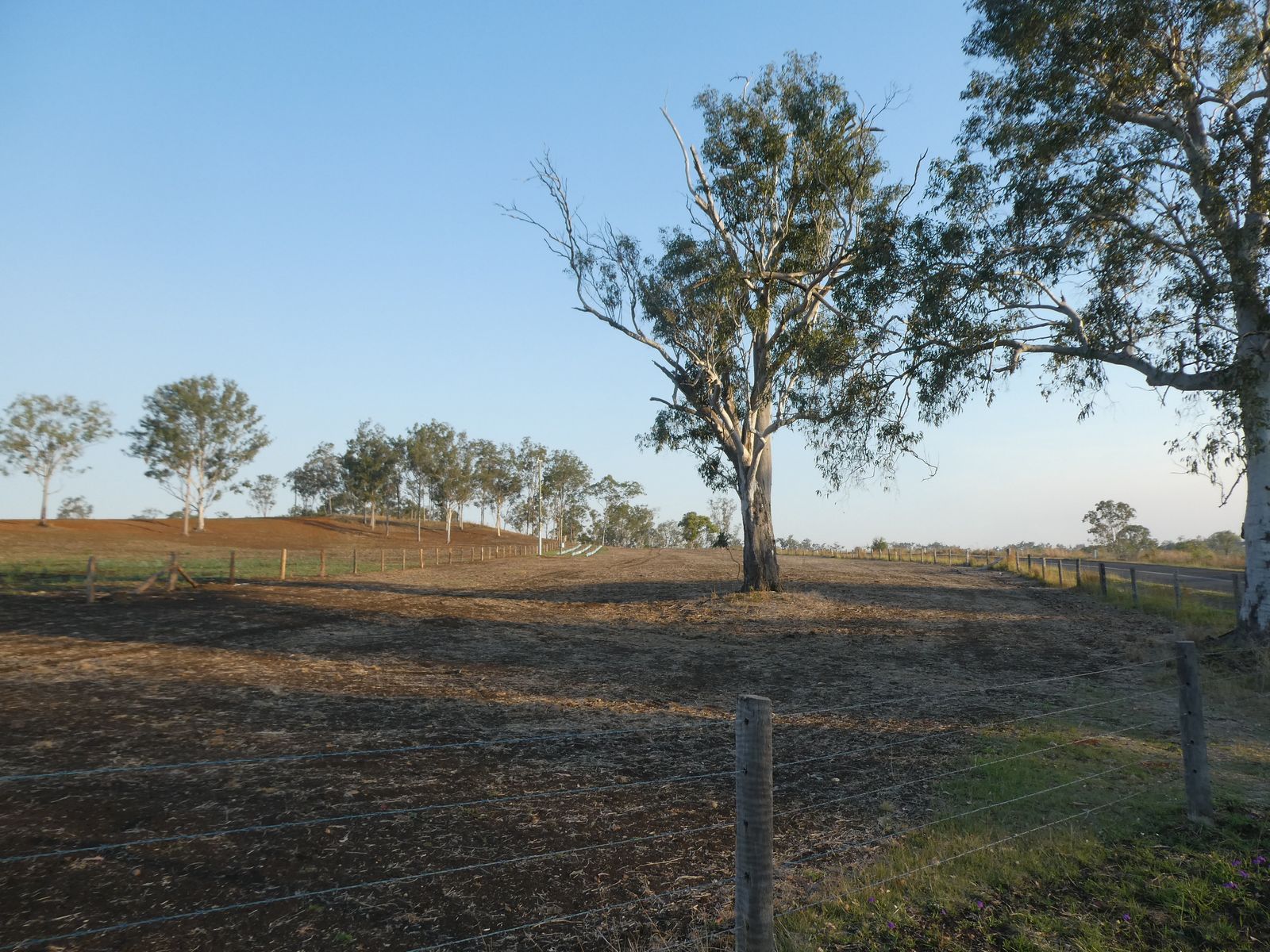 Lot 23 Walla Road, Morganville QLD 4671, Morganville - Thumbnail 3