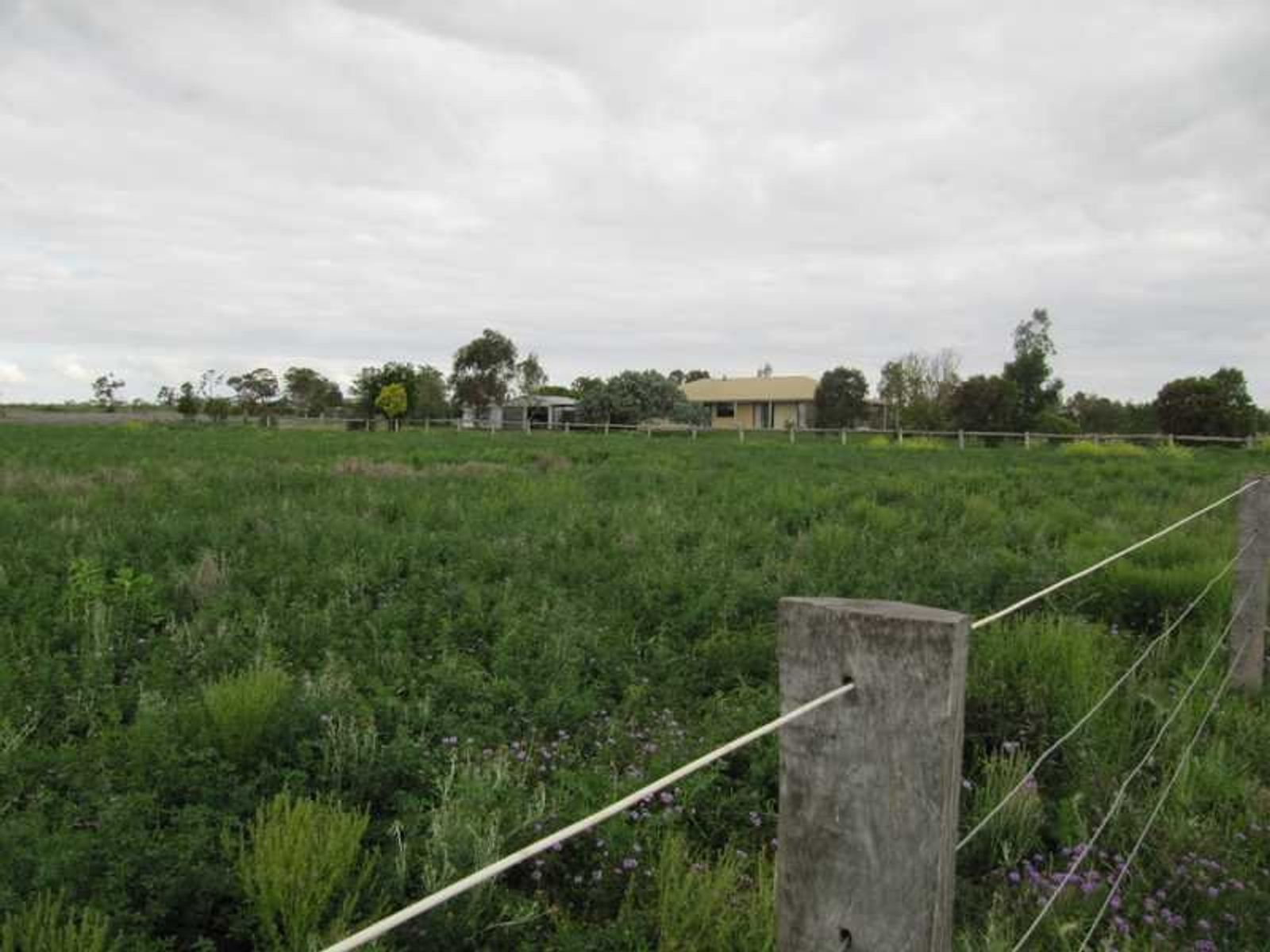 Allora QLD 4362, Allora - Thumbnail 6