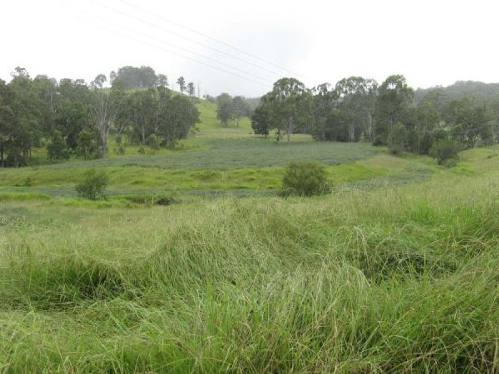 Deep Creek NSW 2440, Deep Creek - Thumbnail 5