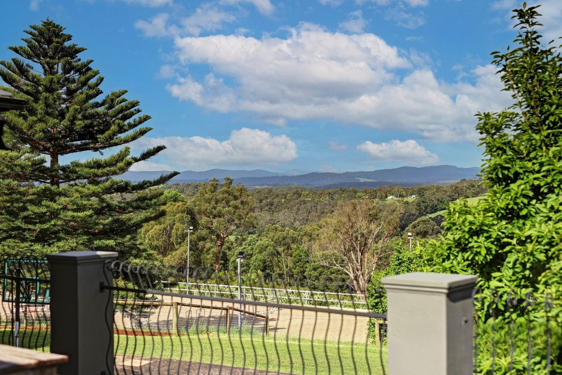 8 Cherry Road, Avonsleigh VIC 3782, Avonsleigh - Thumbnail 6