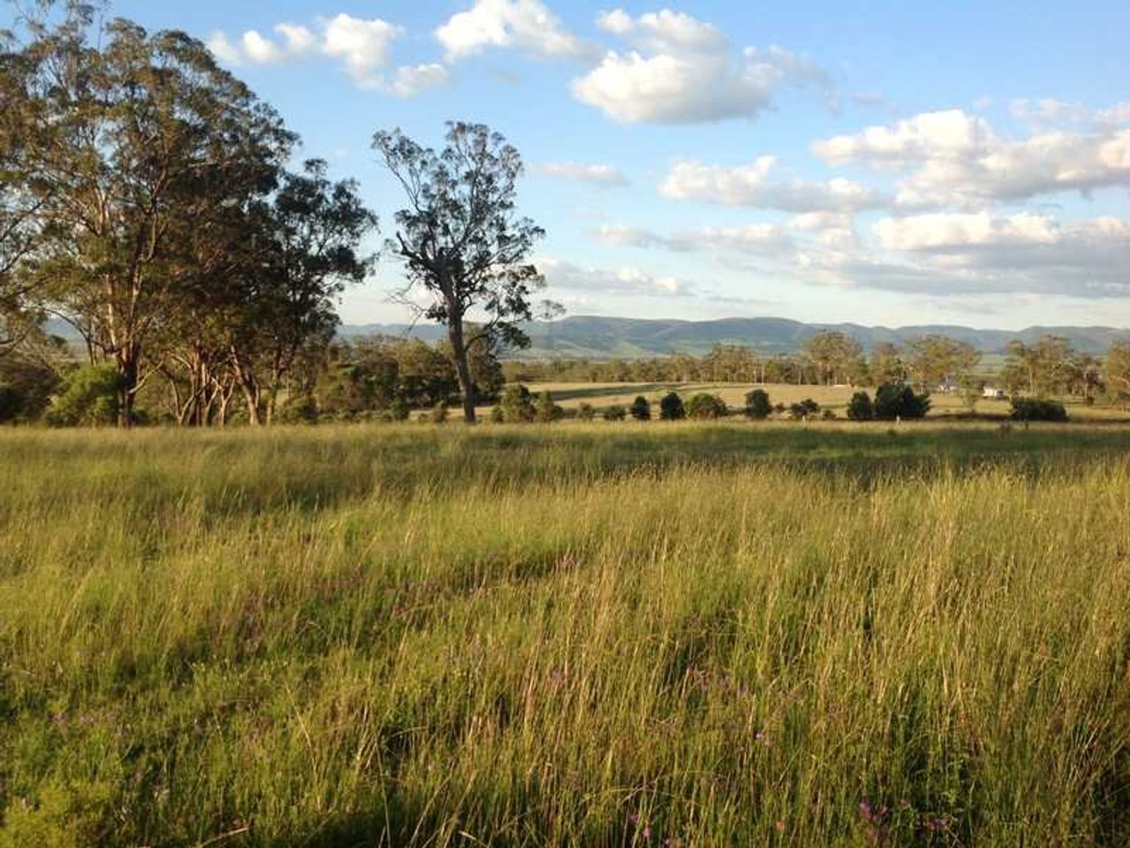 211 Bourkes Road, Loch Lomond, QLD 4370, Loch Lomond - Thumbnail 5