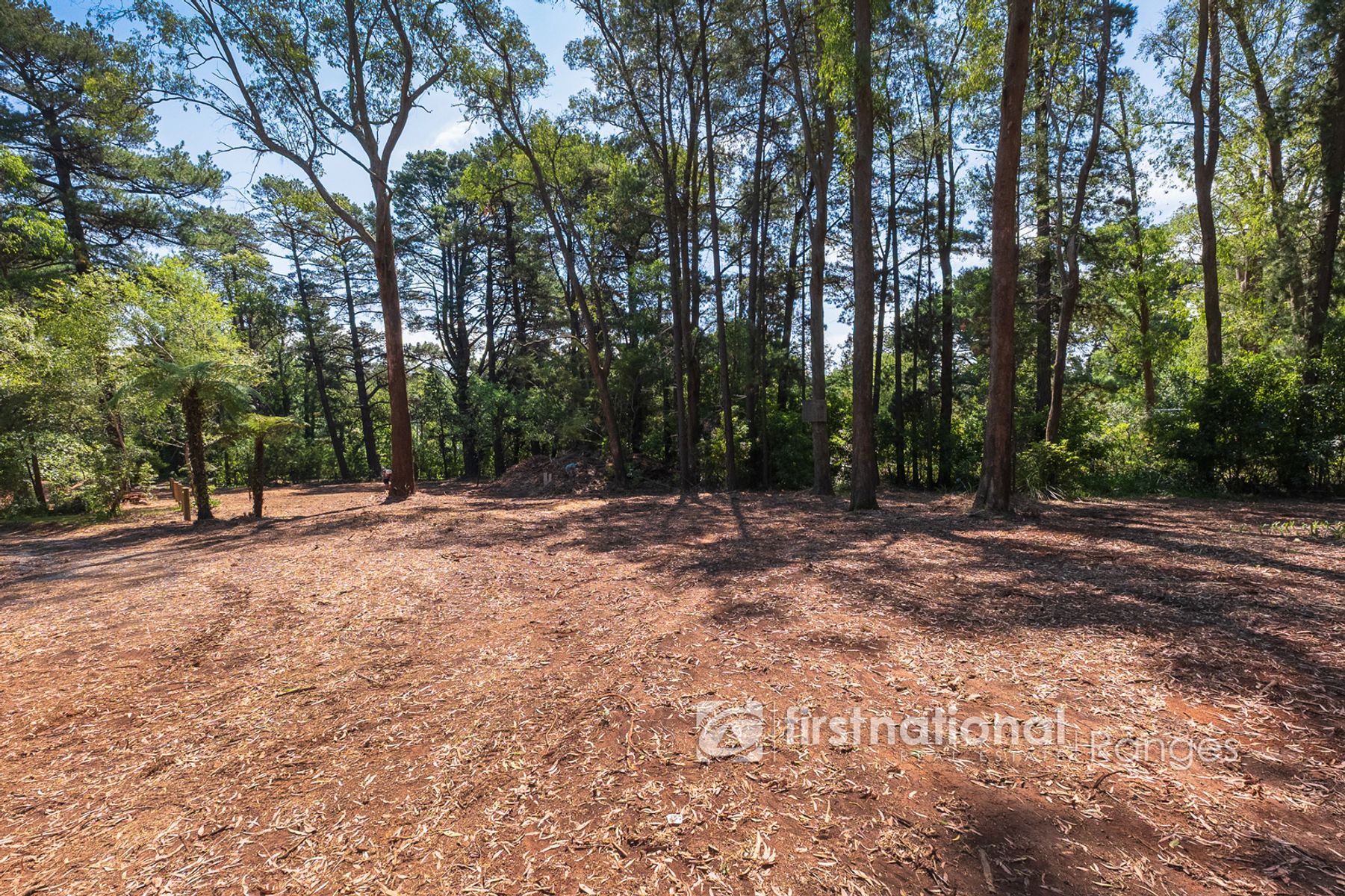 4 Station Avenue, Emerald VIC 3782, Emerald - Thumbnail 3