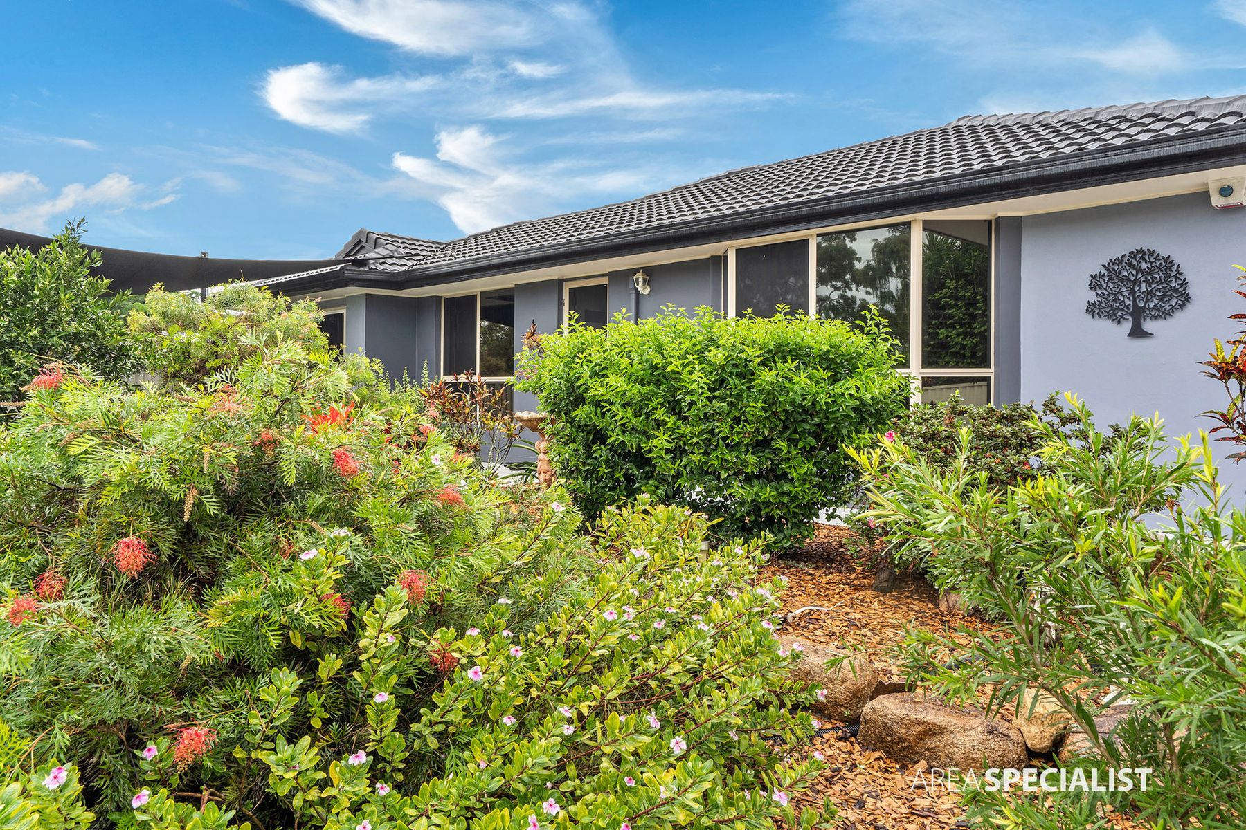 4 Thomas Court, Jacobs Well, QLD 4208, Jacobs Well - Thumbnail 5