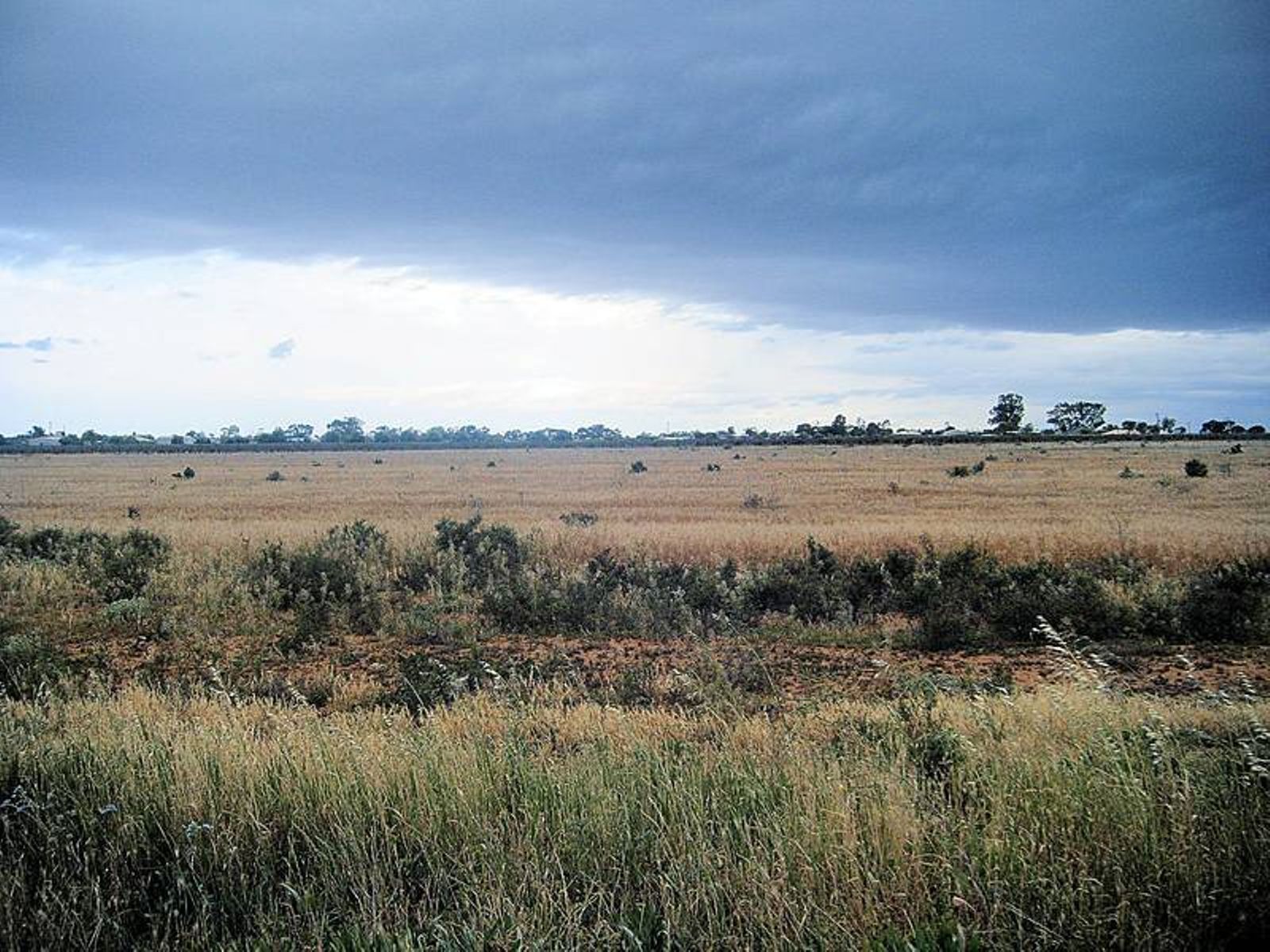 3148 Riverside Avenue, Mildura - Thumbnail 4