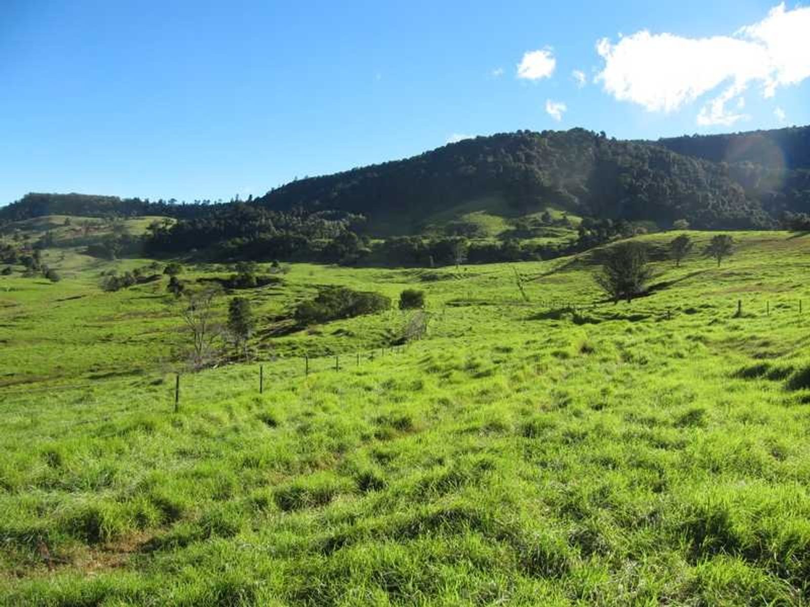 2673 Spring Creek Road, Killarney, QLD 4373, The Head - Thumbnail 8