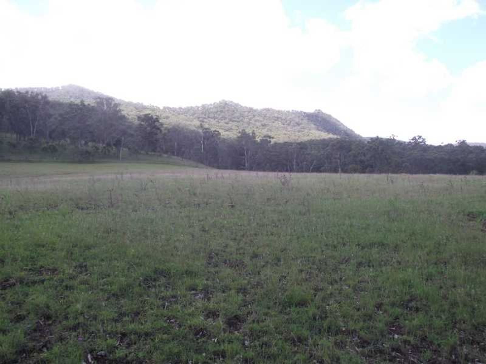 101 Mailmans Road, Warwick, QLD 4370, Warwick - Thumbnail 7