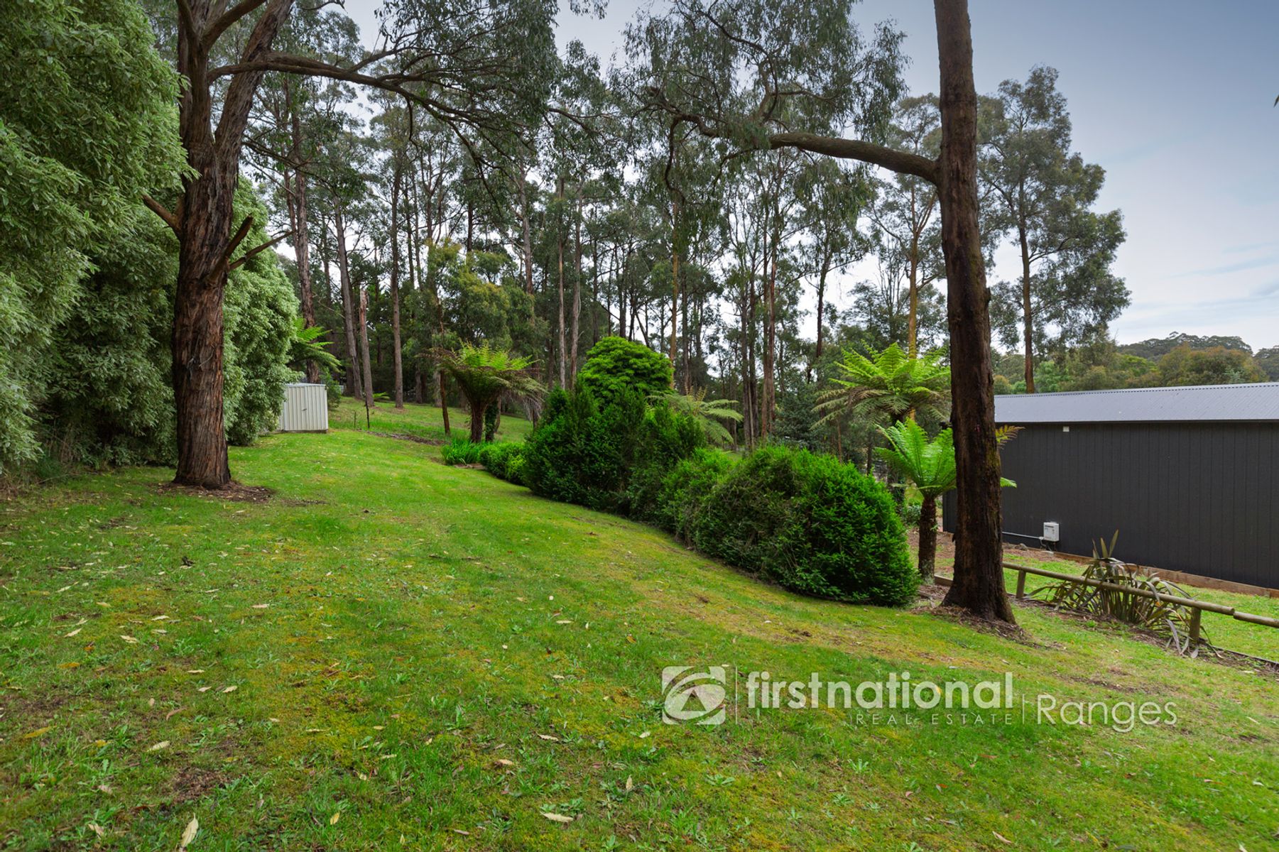 10 Salisbury Avenue, Cockatoo VIC 3781, Cockatoo - Thumbnail 6