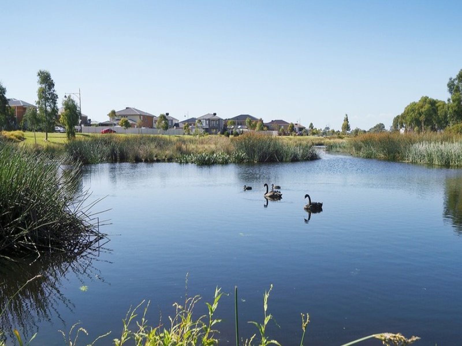 4 Chris Court, Keysborough, VIC 3173, Keysborough - Thumbnail 3