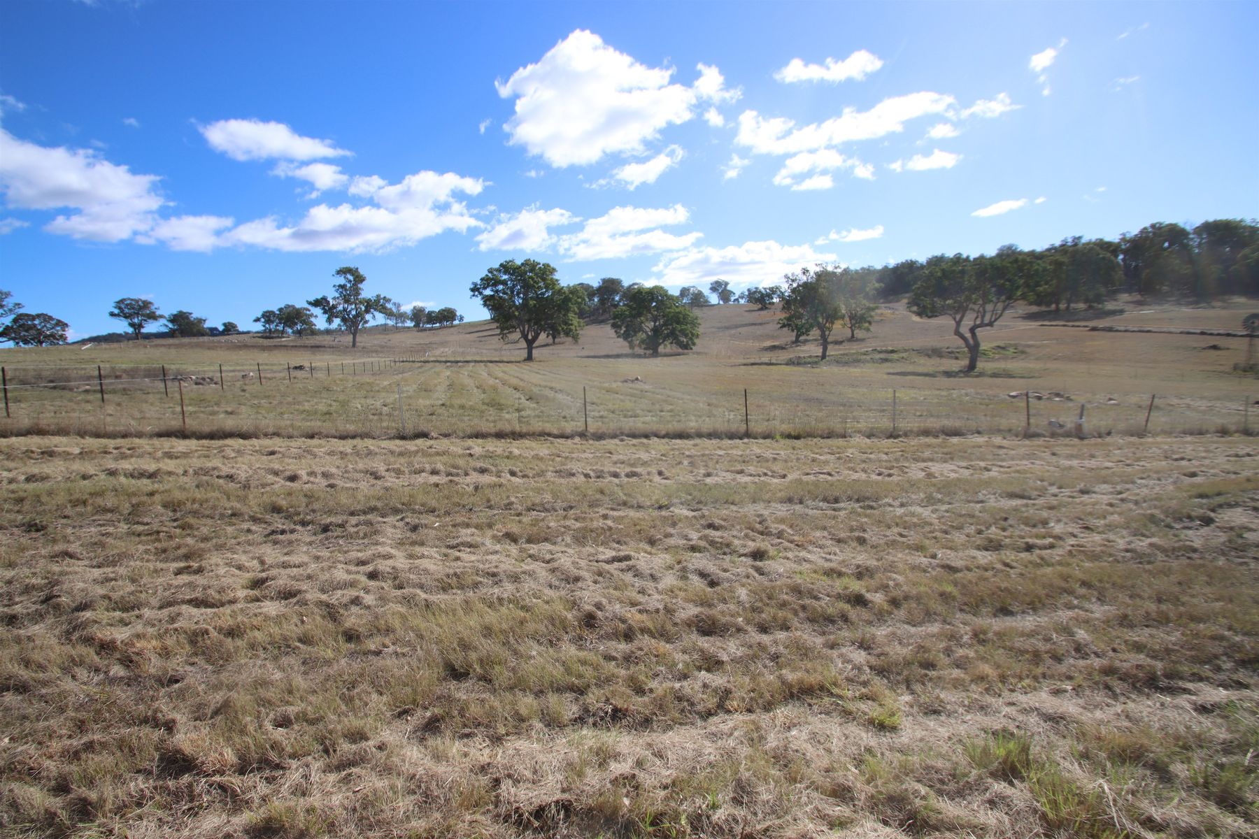 45 Neagles Lane, Tenterfield NSW 2372, Tenterfield - Thumbnail 6