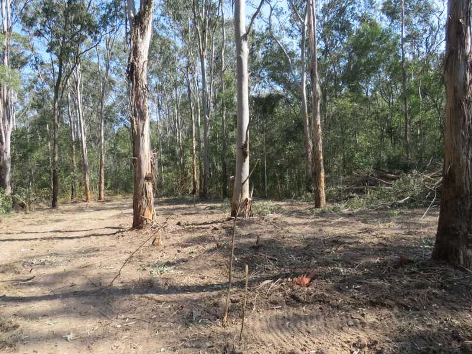 10 Elliots Road, Myrtle Creek, NSW 2469, Myrtle Creek - Thumbnail 5