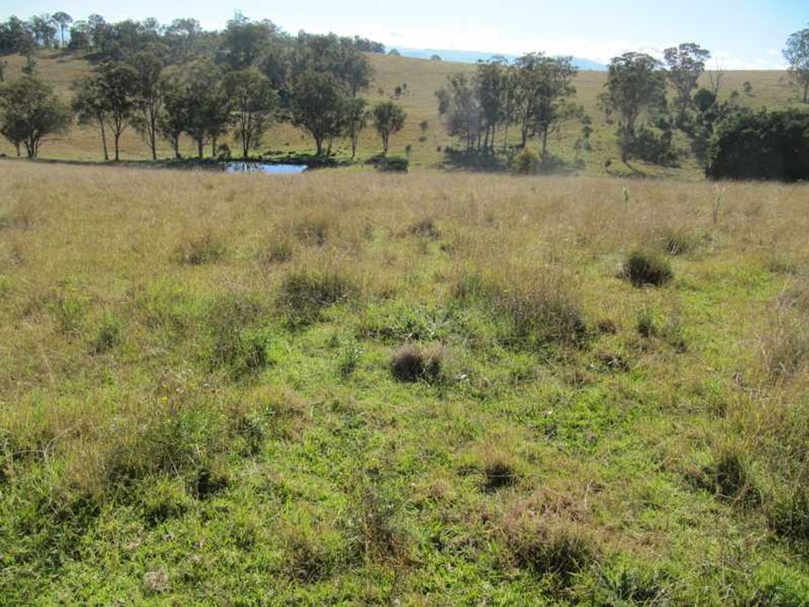 Barlows Gate Road QLD 4373, Barlows Gate Road - Thumbnail 6