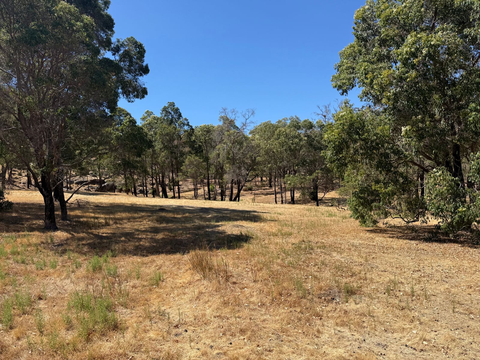 59 Lyons Road, Waroona WA 6215, Waroona - Thumbnail 3