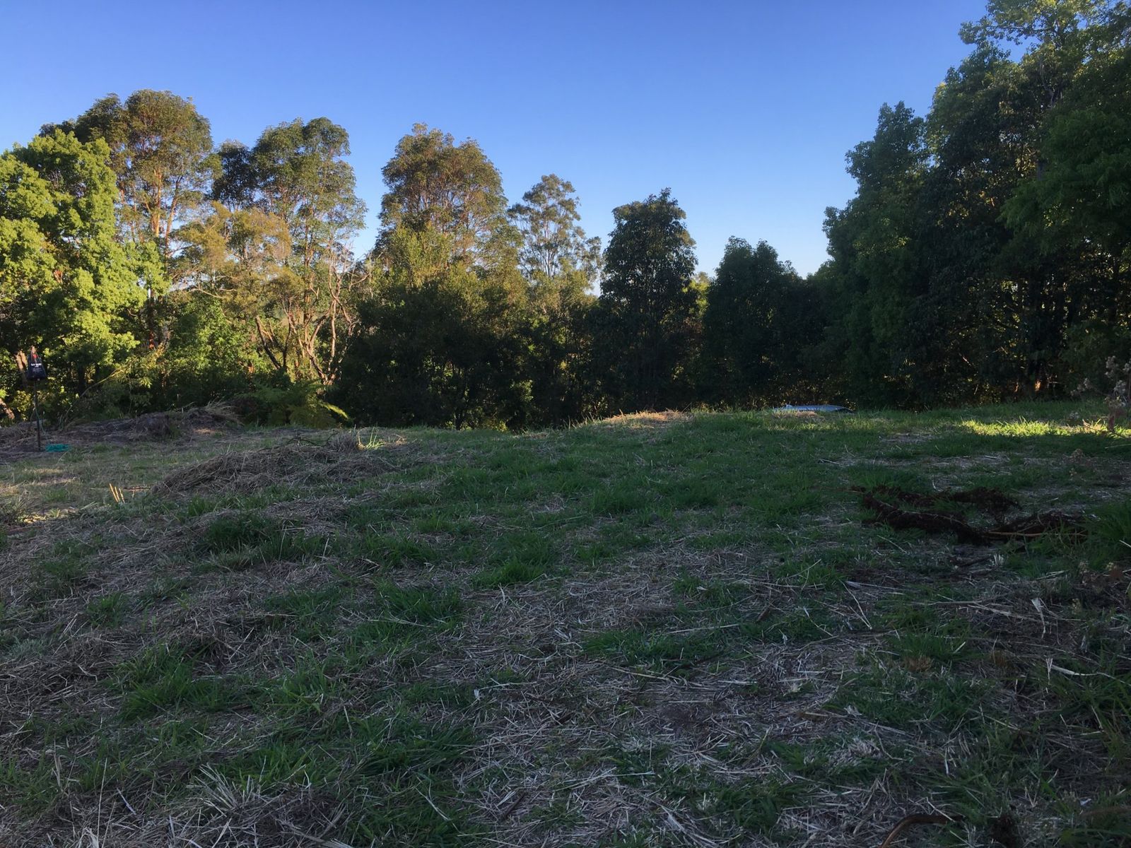 114 Maso Rd, Repentance Creek - Thumbnail 6