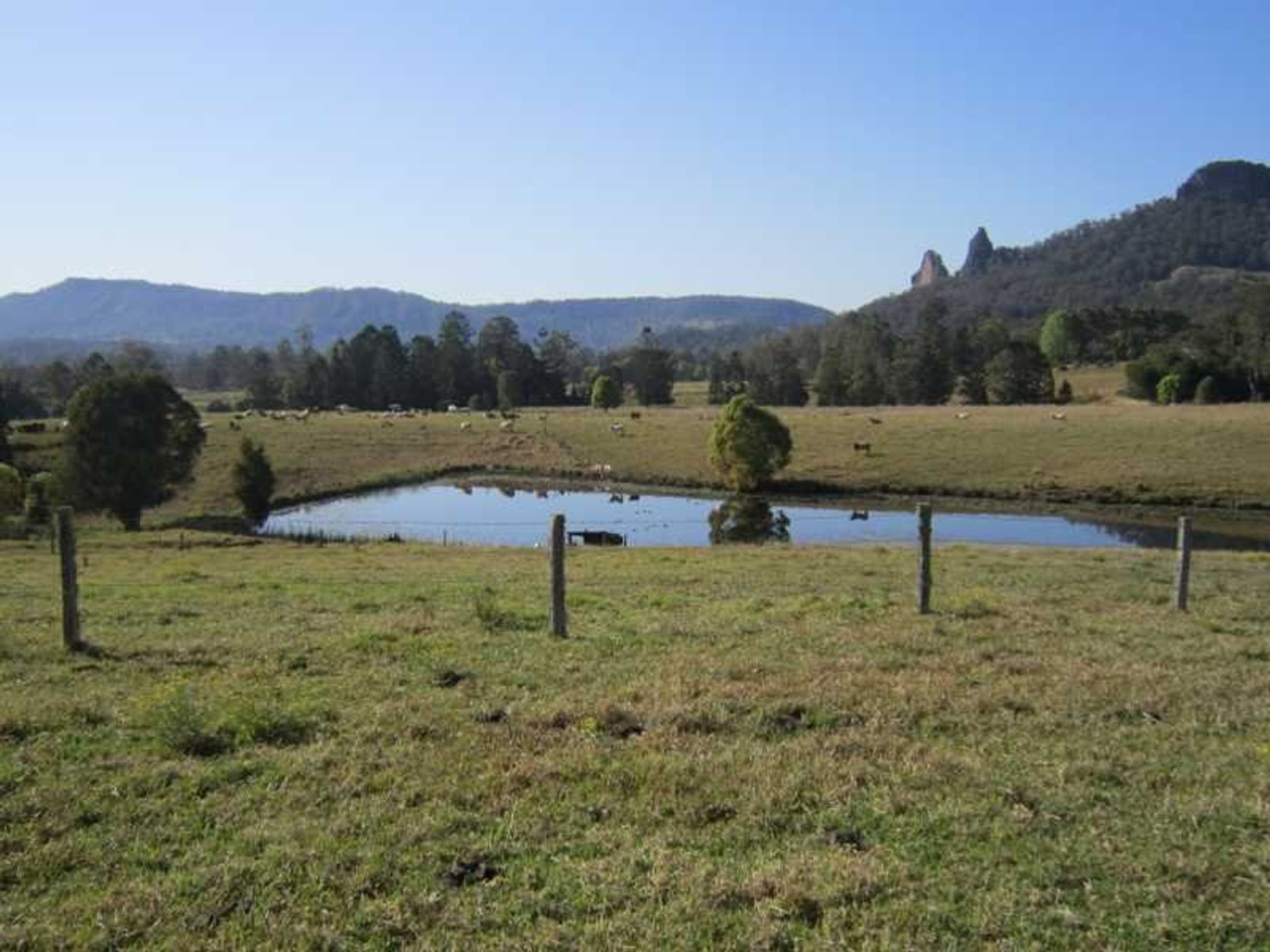 219 Stoneychute Road, Nimbin - Thumbnail 5