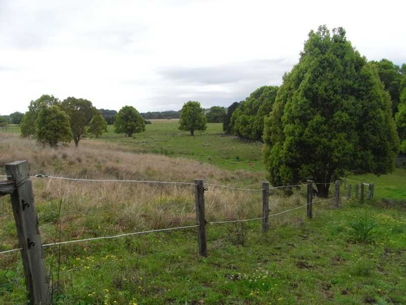 56 Johnston Rd, Clunes - Thumbnail 5