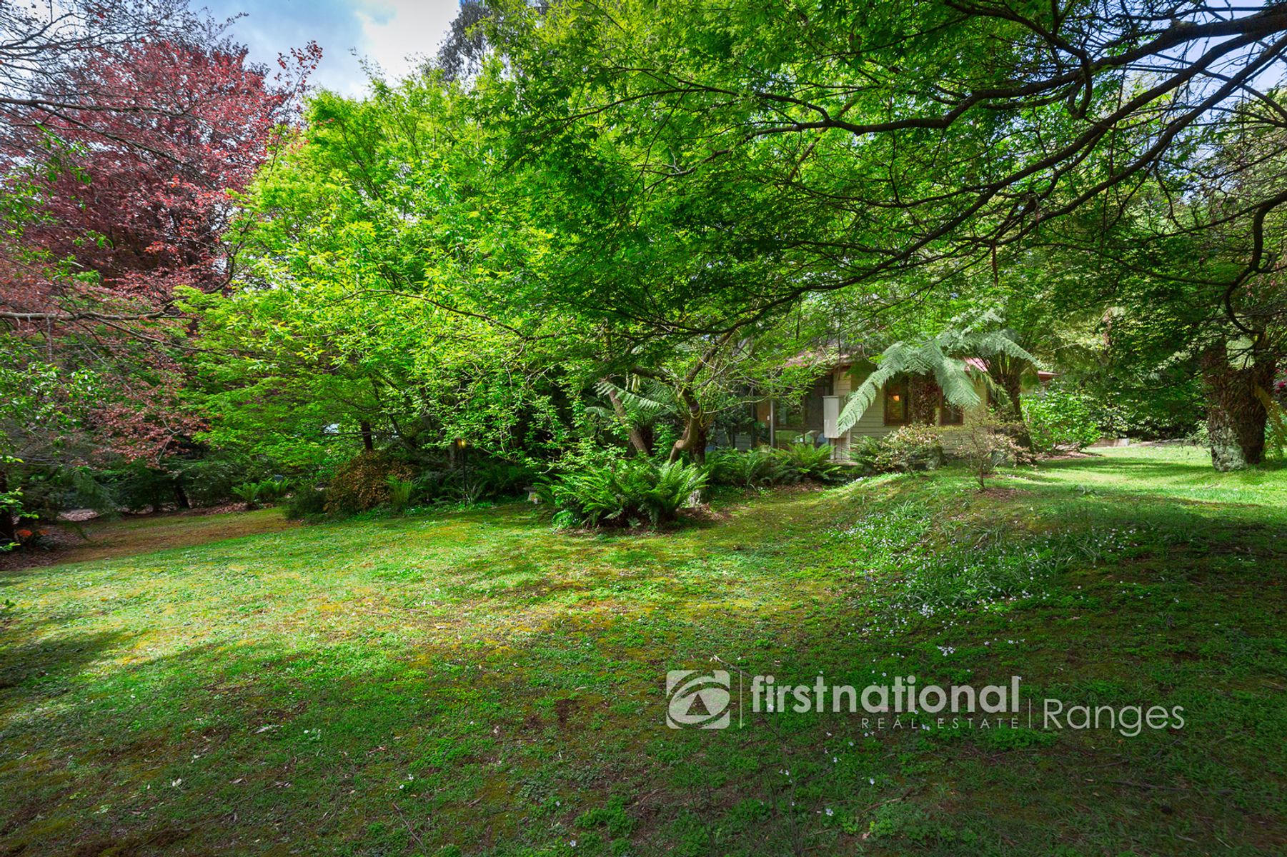 35A Sherbrooke Lodge Road, Sherbrooke VIC 3789, Sherbrooke - Thumbnail 6