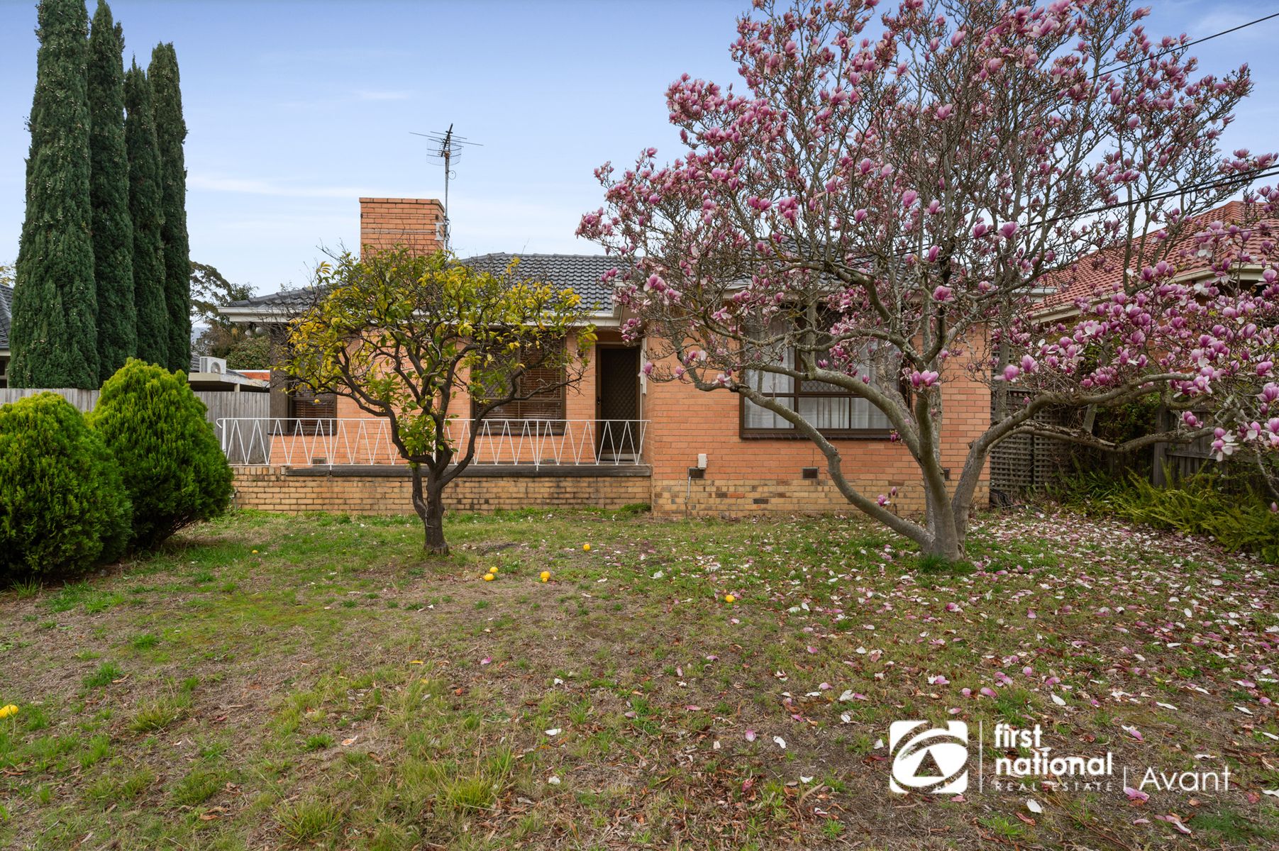26 Milloo Crescent, Mount Waverley VIC 3149, Mount Waverley - Thumbnail 7
