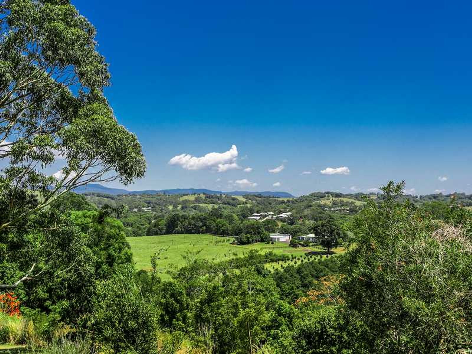 1049 Hinterland Way, Bangalow - Thumbnail 4