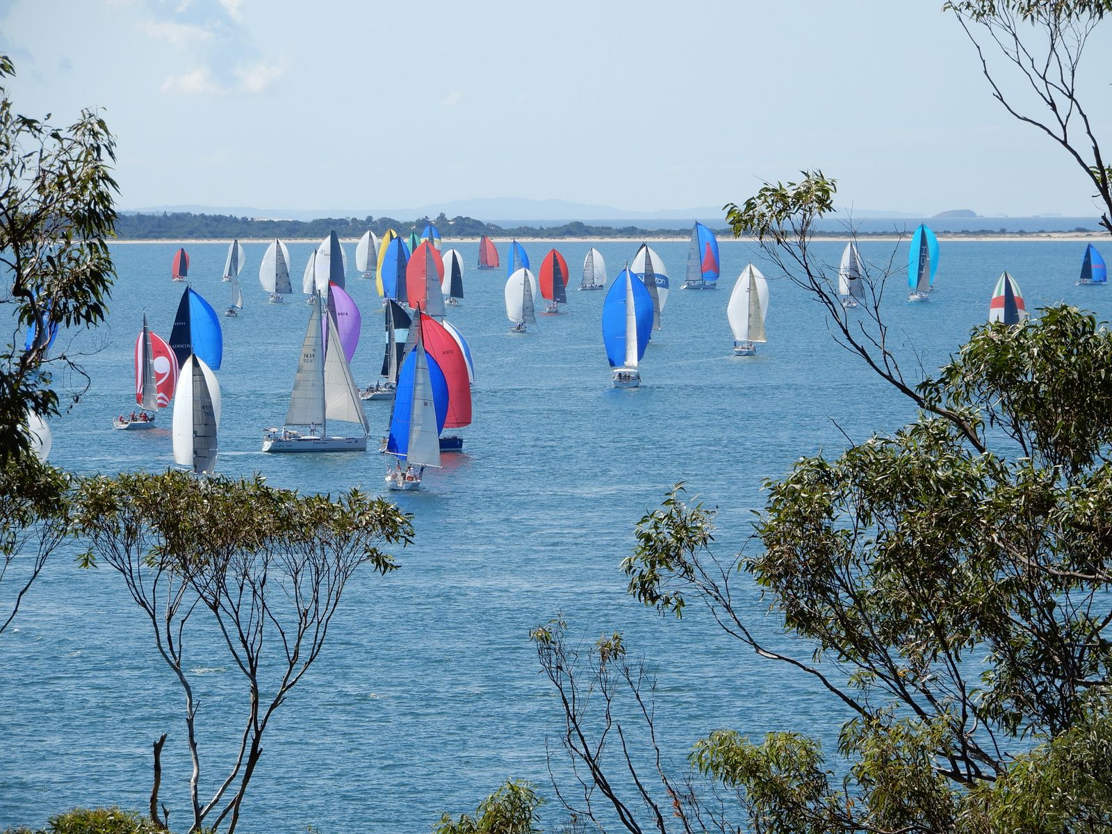 1/12 Thurlow Avenue, Nelson Bay NSW 2315, Nelson Bay - Thumbnail 6