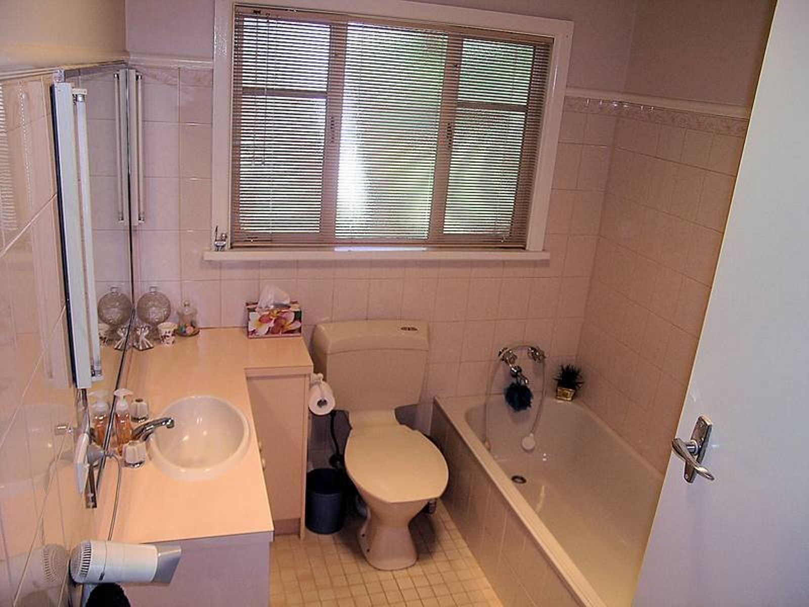 256 Morpung Avenue, Mildura - Thumbnail 3