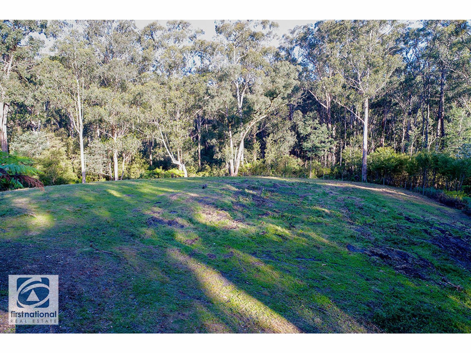 McDougal Road, Buln Buln East VIC 3821, Buln Buln East - Thumbnail 2