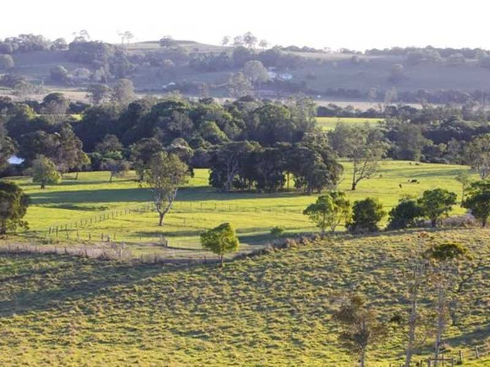 312 Riverbank Road, Monaltrie - Thumbnail 5
