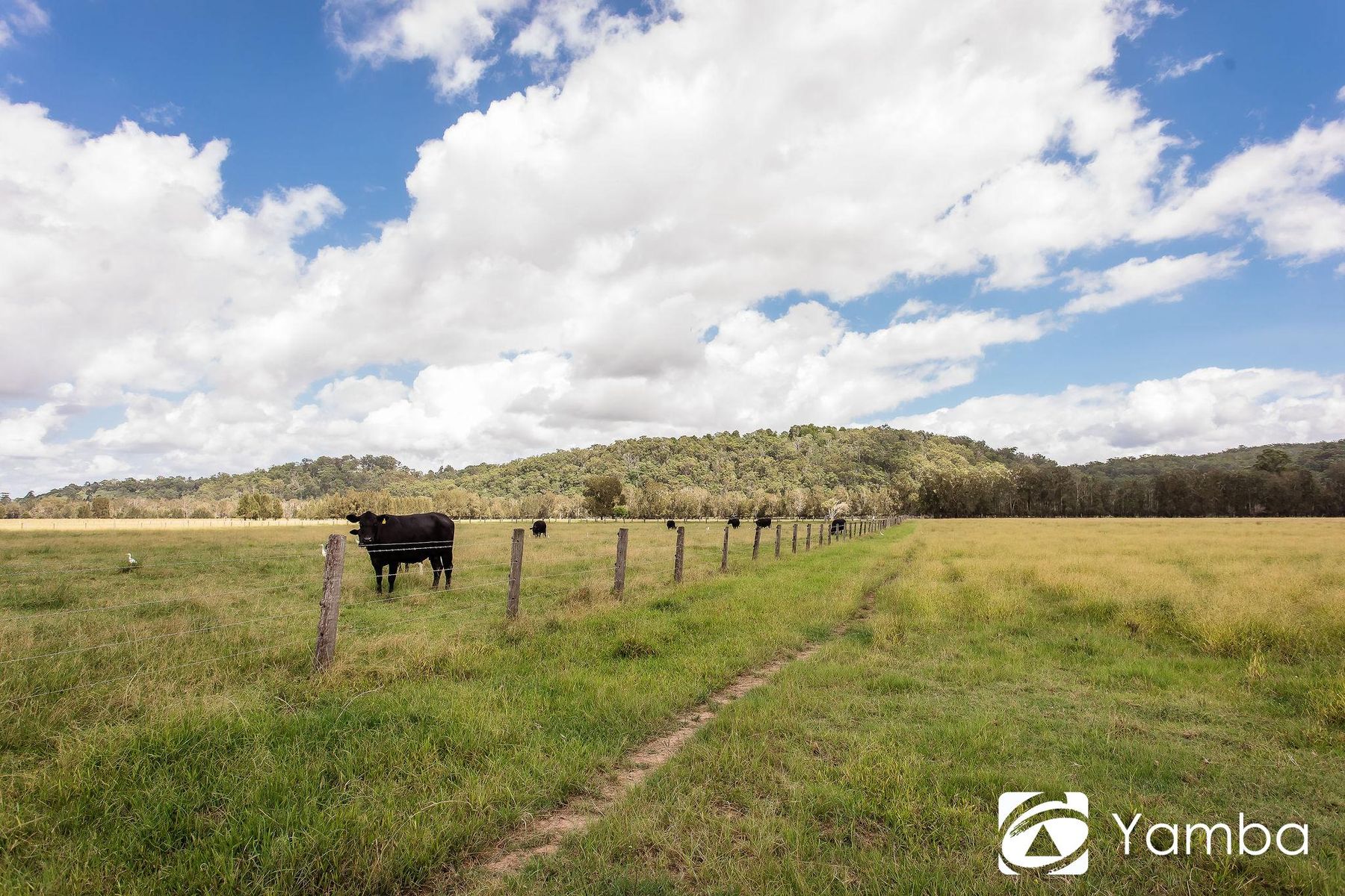 192 Old Ferry Road, Ashby NSW 2463, Ashby - Thumbnail 6