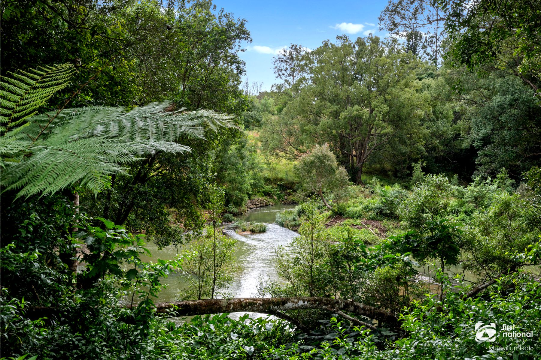 101 Smiths Creek Road, Uki NSW 2484, Uki - Thumbnail 7
