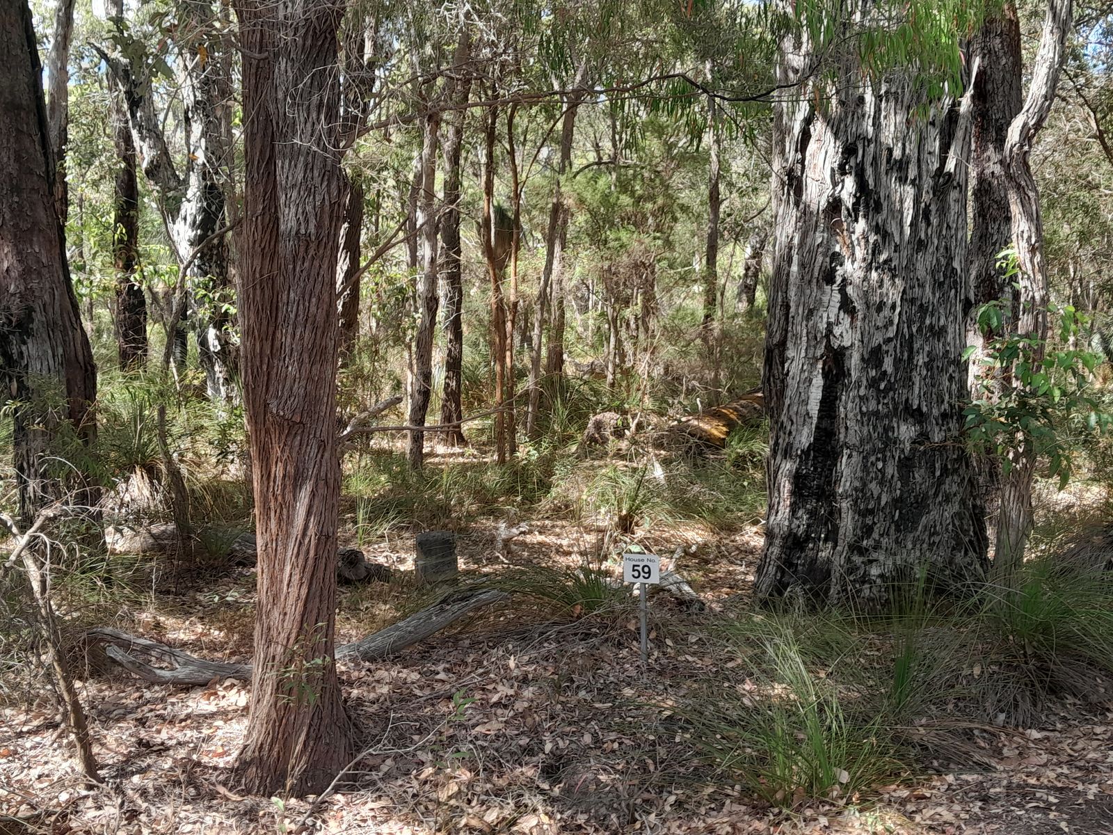 59 Dalton Way, Molloy Island WA 6290, Molloy Island - Thumbnail 2