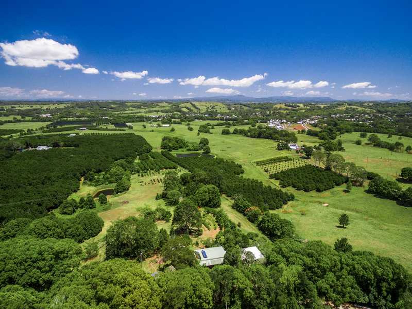 1049 Hinterland Way, Bangalow - Thumbnail 6