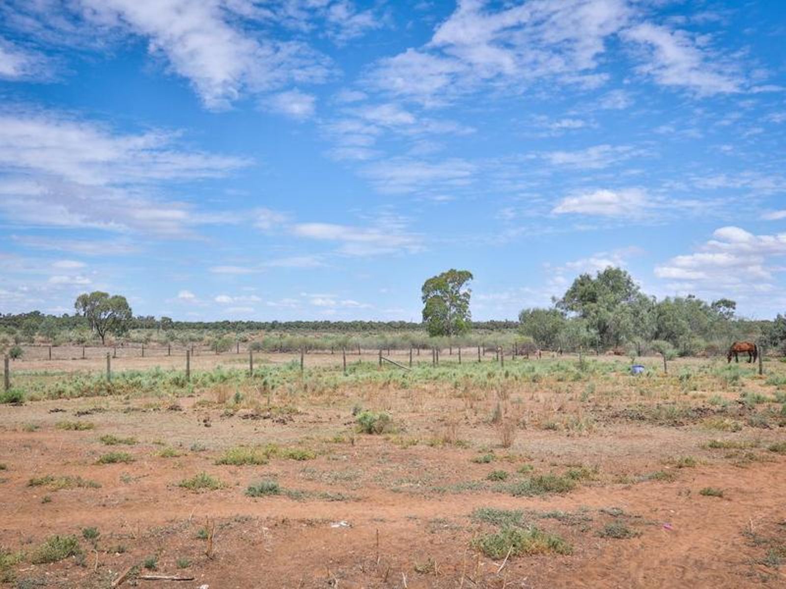 22 Psyche Bend Road, Irymple - Thumbnail 7