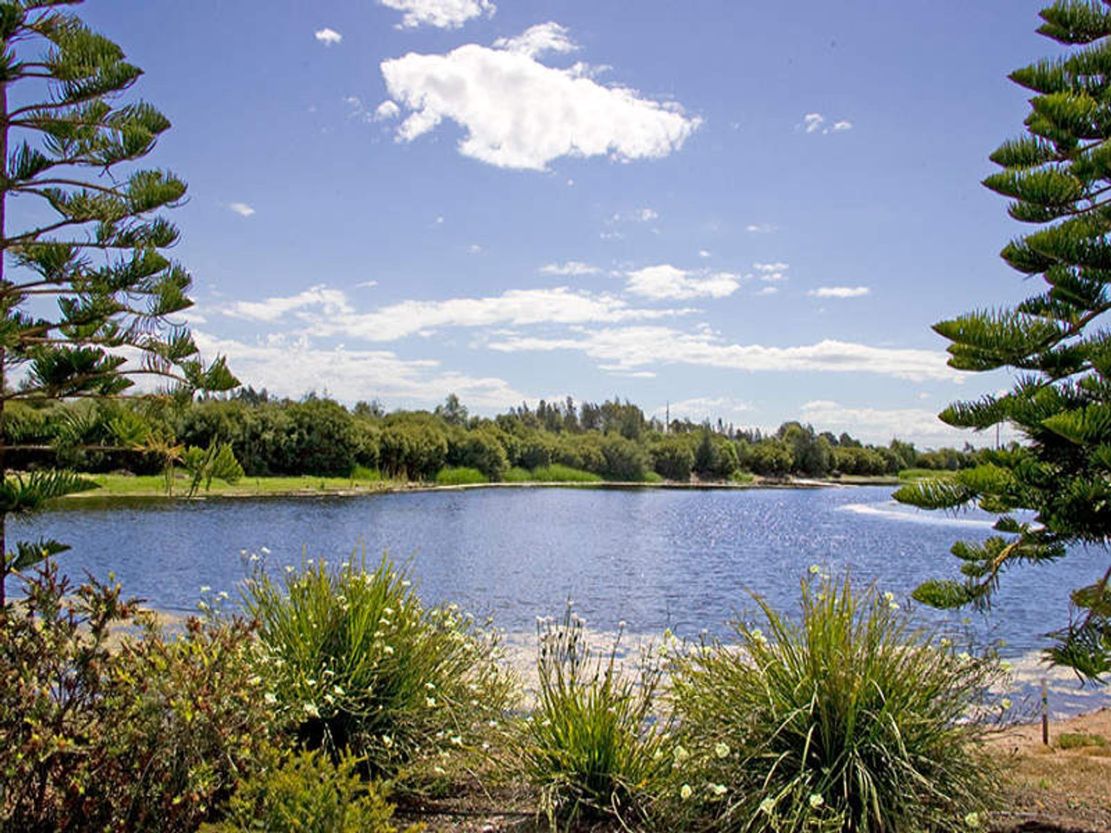 37 Sanctuary Drive, Mawson Lakes, SA 5095, Mawson Lakes - Thumbnail 2