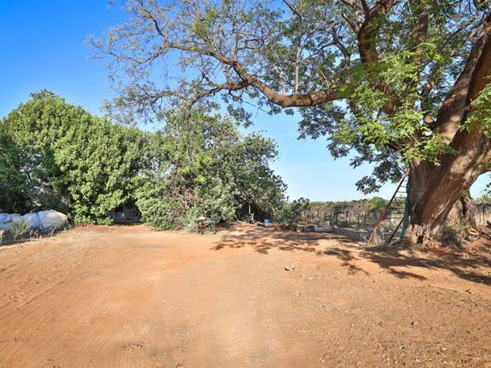 99 Cowanna Avenue, Merbein - Thumbnail 5