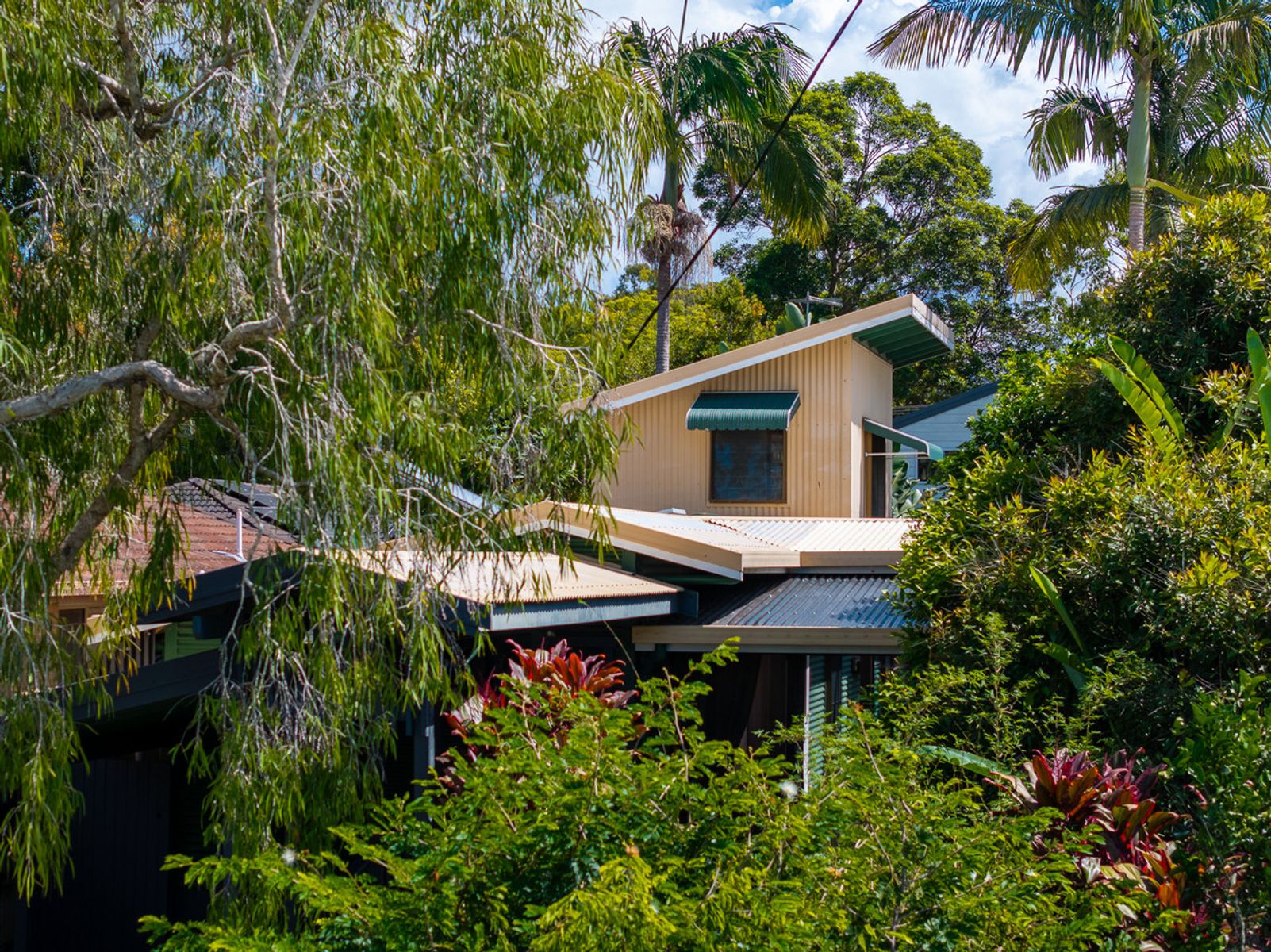 7 Orchid Place, Mullumbimby NSW 2482, Mullumbimby - Thumbnail 7