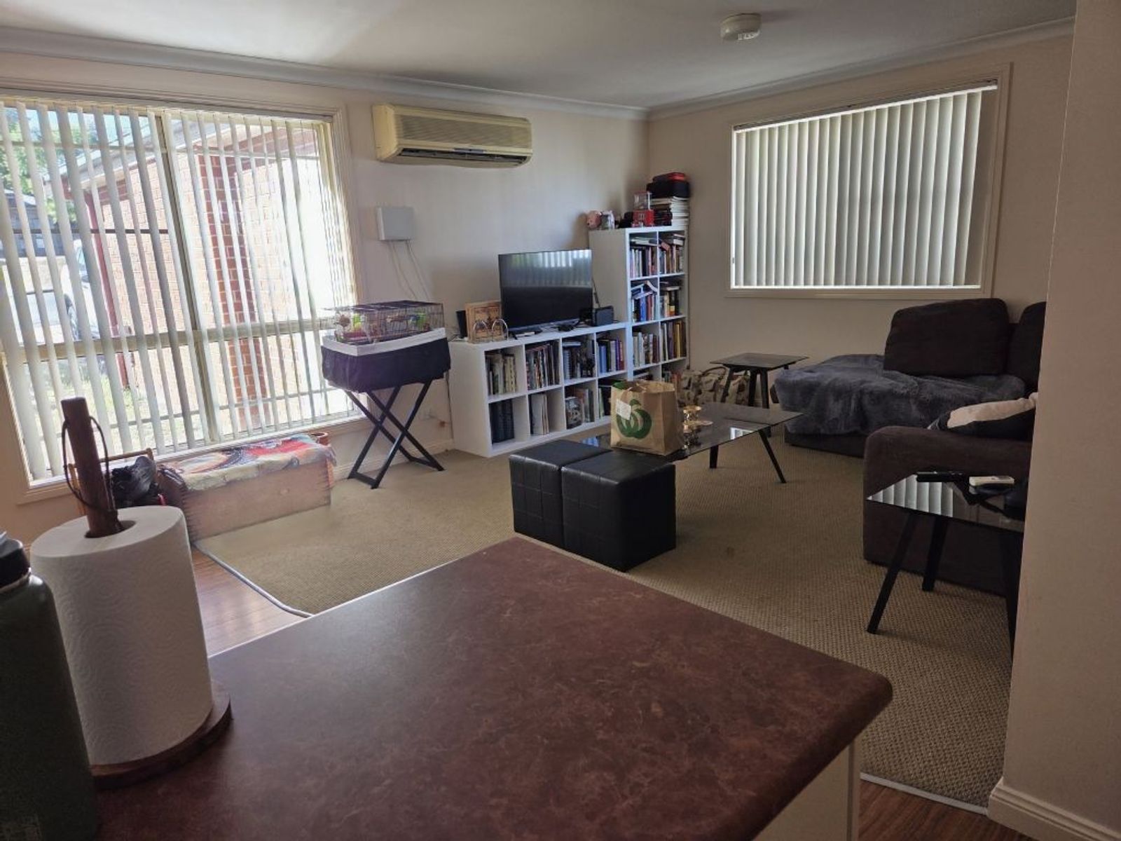 117 Hill Street, Muswellbrook NSW 2333, Muswellbrook - Thumbnail 7