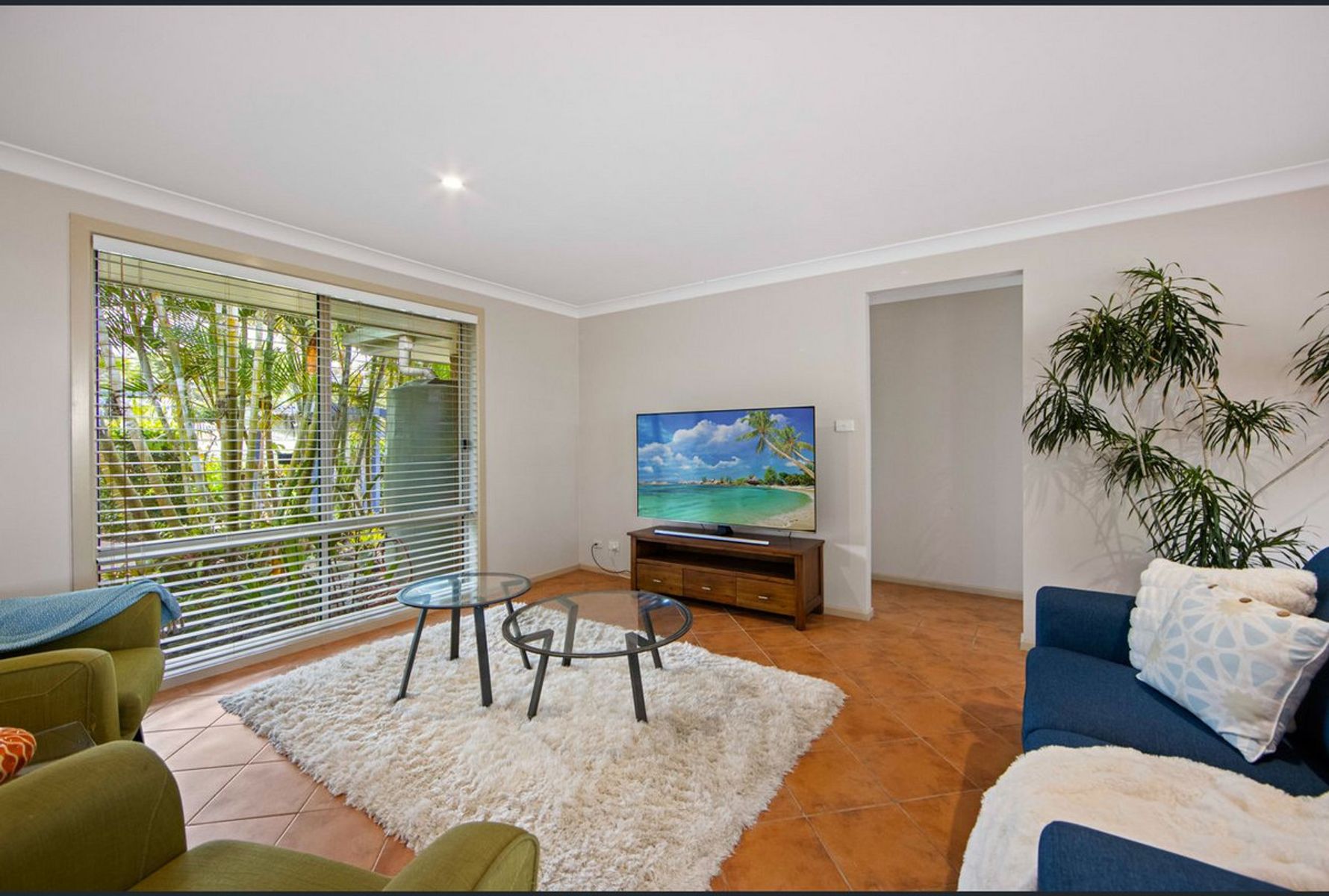 31A Emily Avenue, Port Macquarie NSW 2444, Port Macquarie - Thumbnail 2