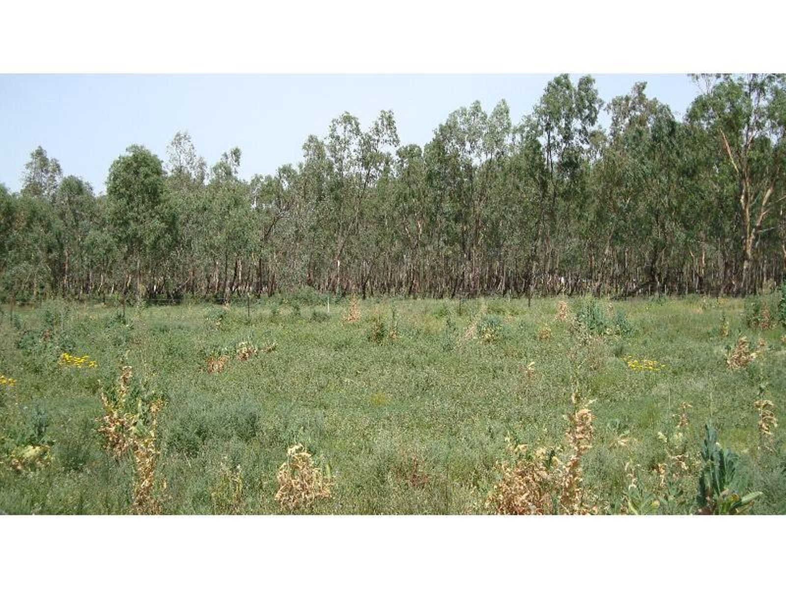 3550 San Mateo Avenue, Mildura - Thumbnail 5