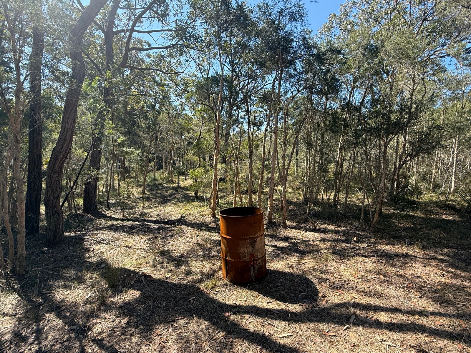 37 Cove Avenue, Bundabah NSW 2324, Bundabah - Thumbnail 4