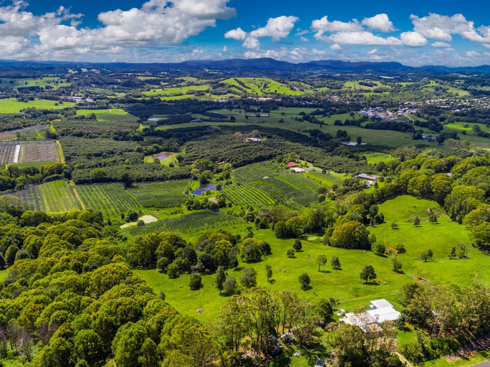 985 Hinterland Way, Bangalow - Thumbnail 4