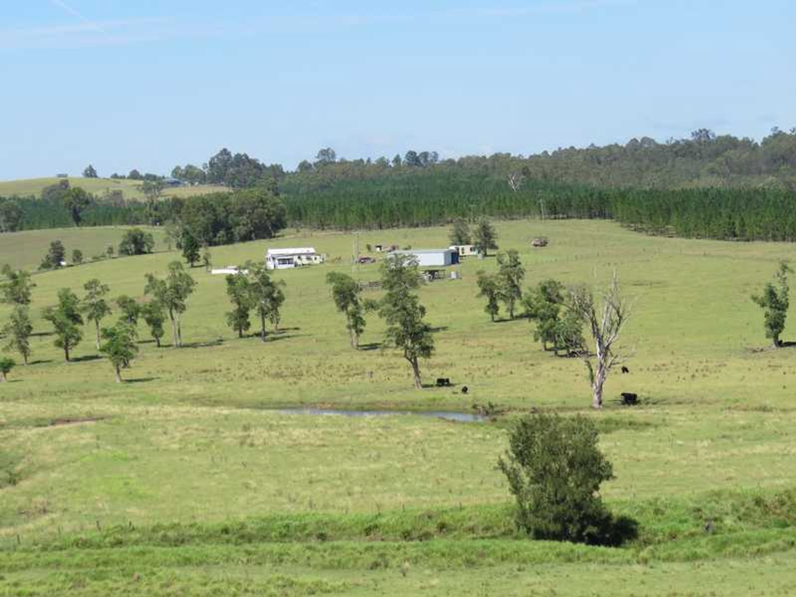 12395 Clarence Way, Mallanganee, NSW 2469, Culmaran Creek - Thumbnail 5