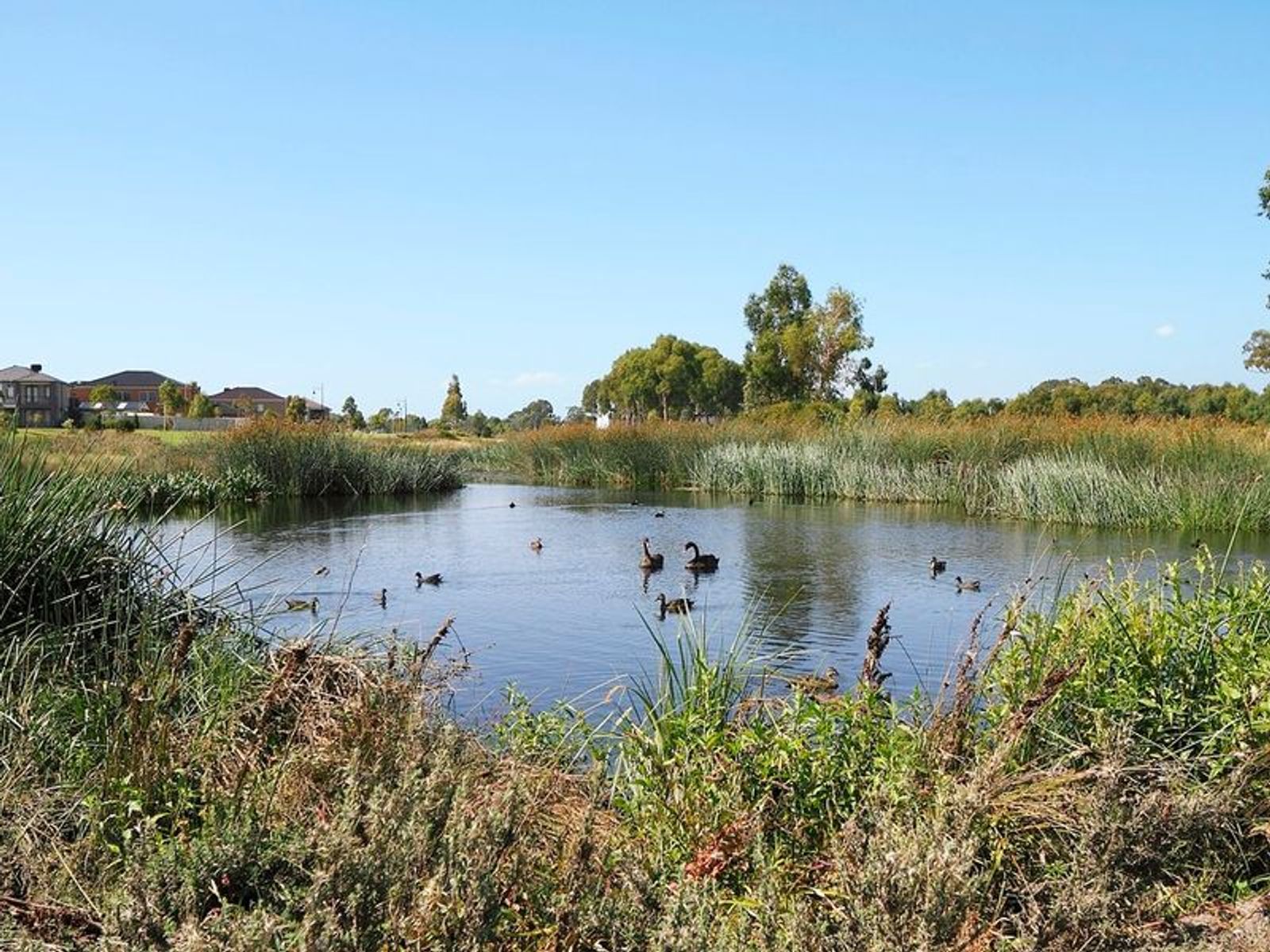 2 Patricia Loop, Keysborough, VIC 3173, Keysborough - Thumbnail 2