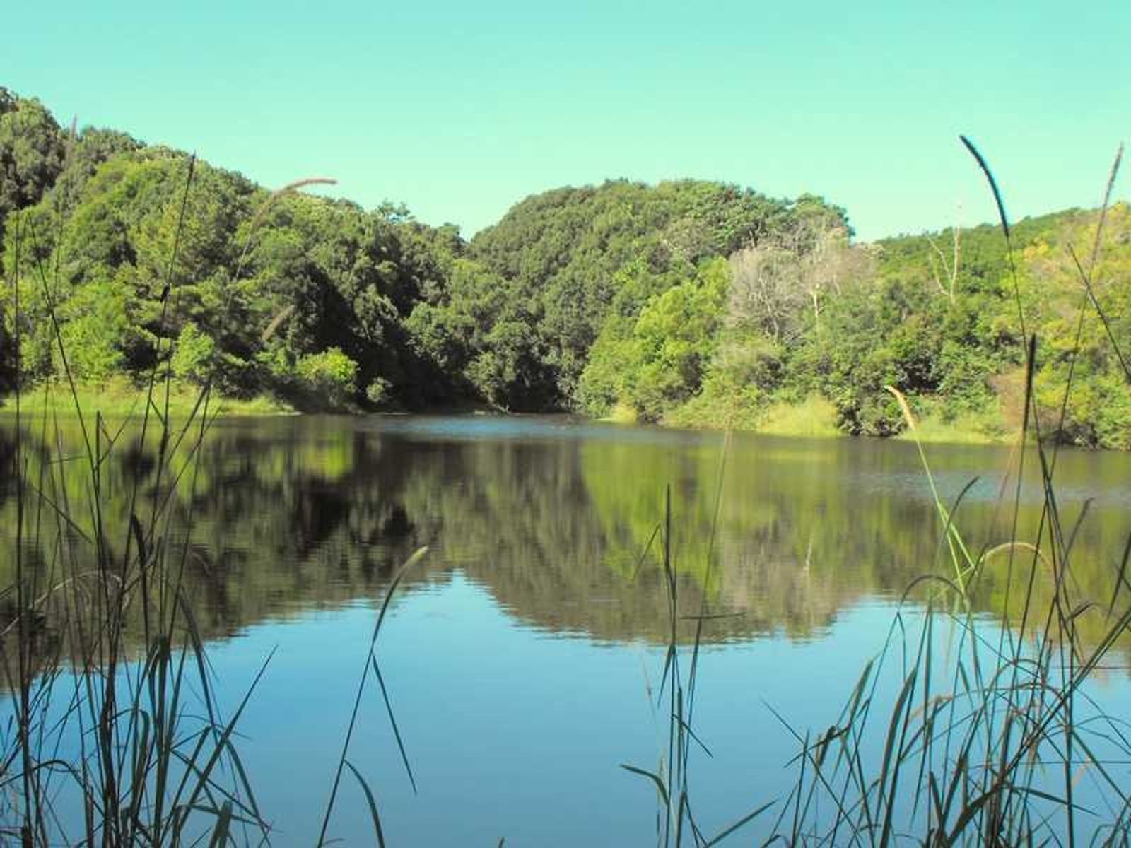 1610 Bangalow Road, Clunes - Thumbnail 5