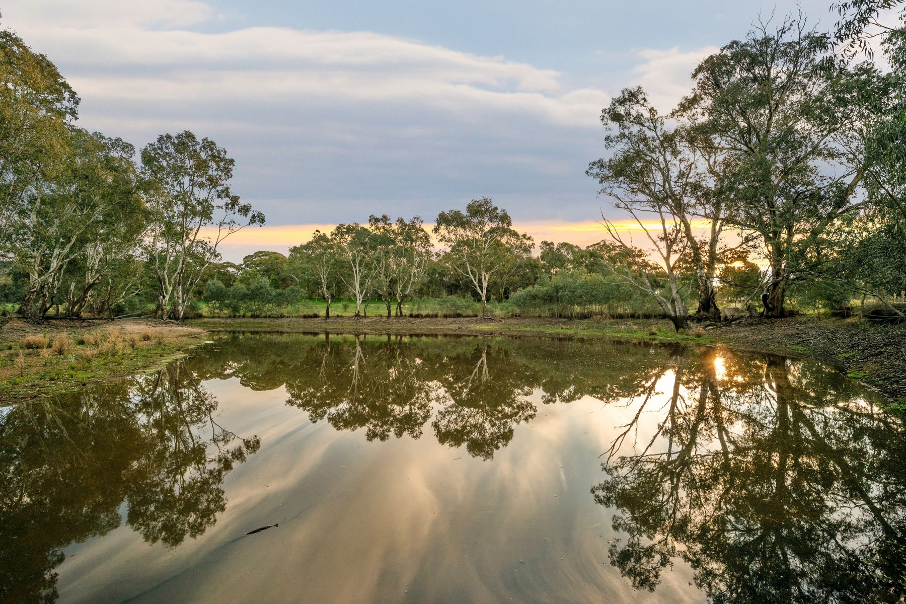 LOT 87/ 403 Mandurang South Road, Mandurang South For Sale by Farmbuy.com - image 2