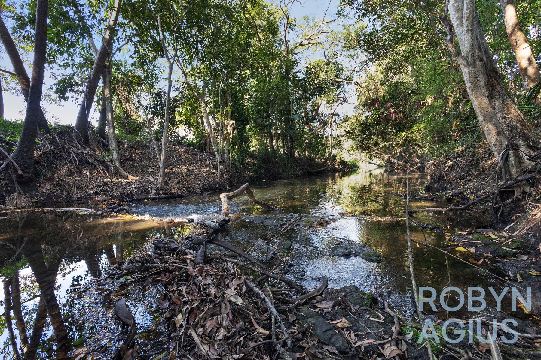 24 Pugsley Street, Walkerston, QLD 4751, Walkerston - Thumbnail 7