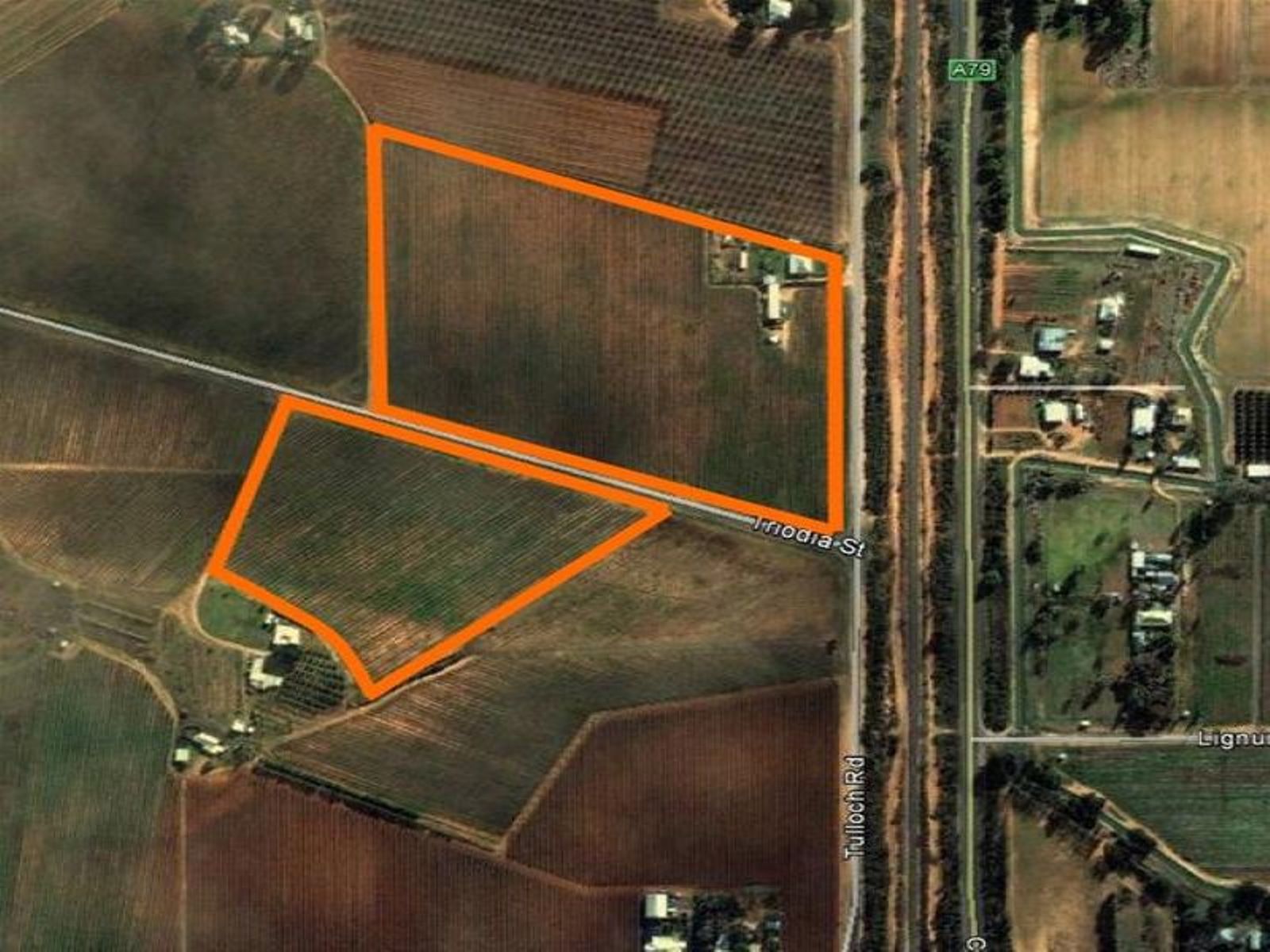 290 Tulloch Road, Red Cliffs, VIC 3496, Red Cliffs - Image 1